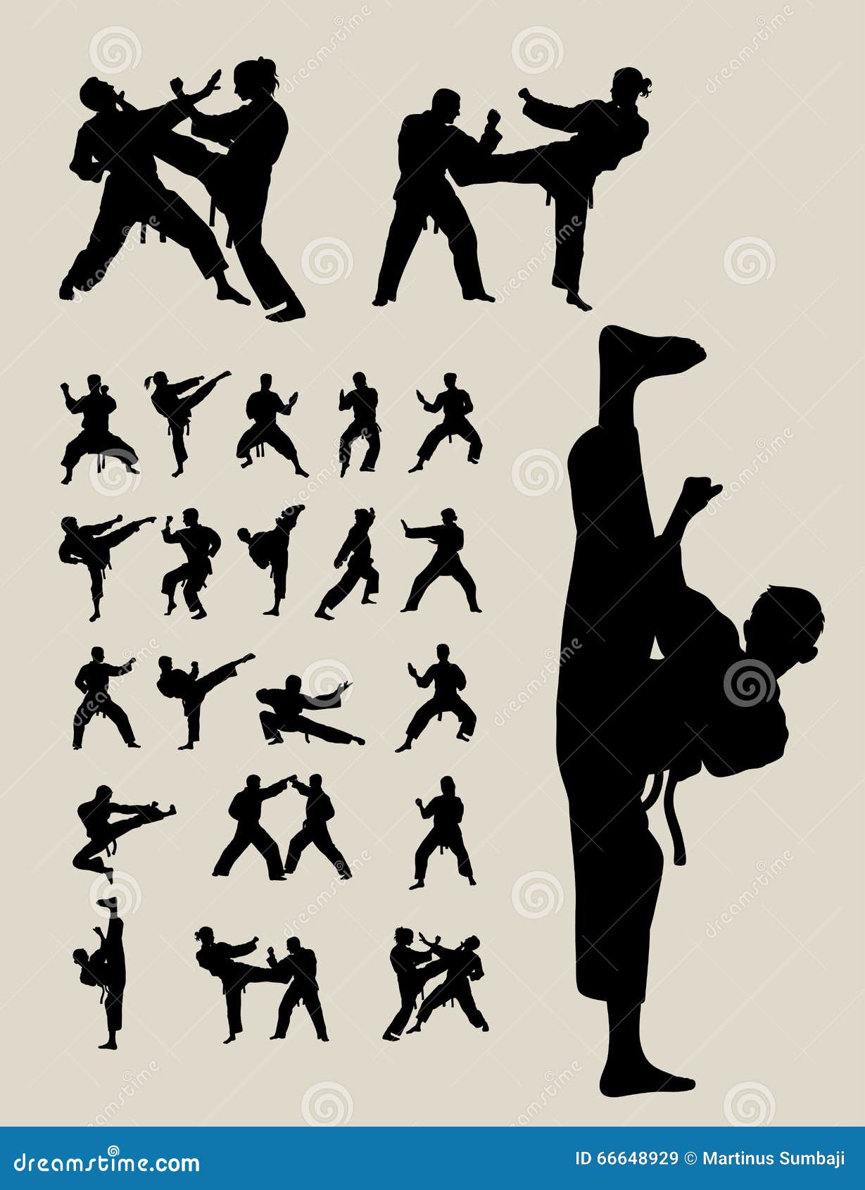 taekwondo and karate silhouettes