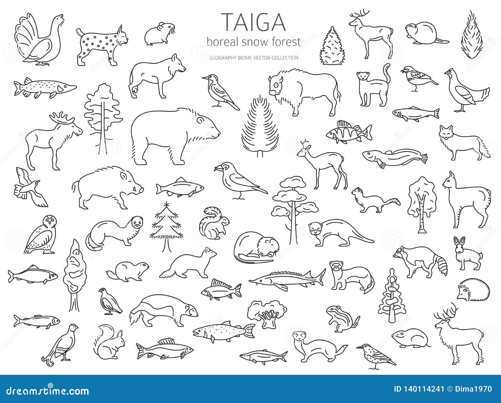 taiga biome animals