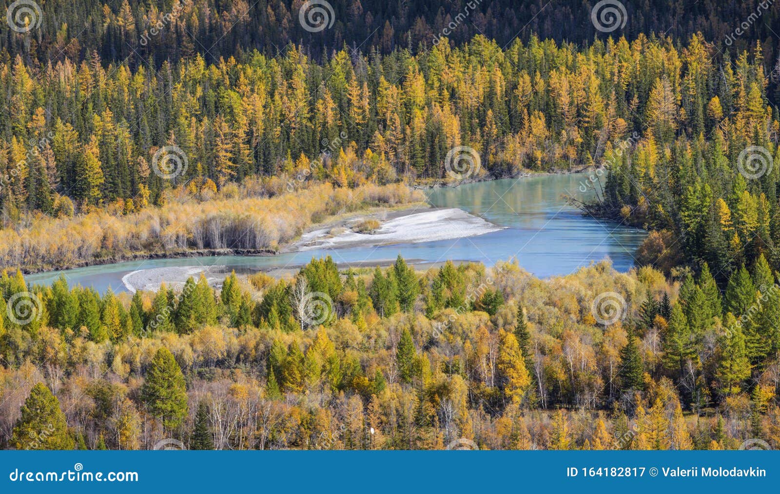 Taiga River View From Above Stock Image Image Of Landscape Northern