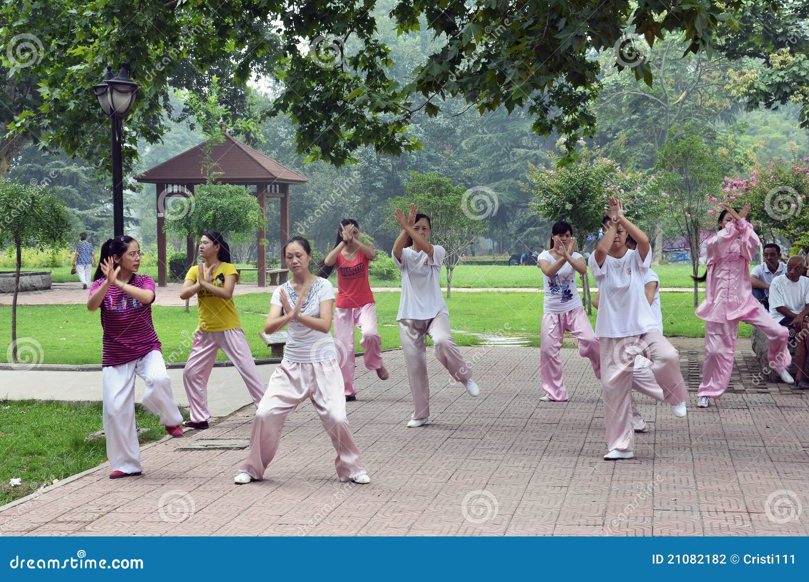 Taiji in park editorial photography. Image of work, forest 21082182