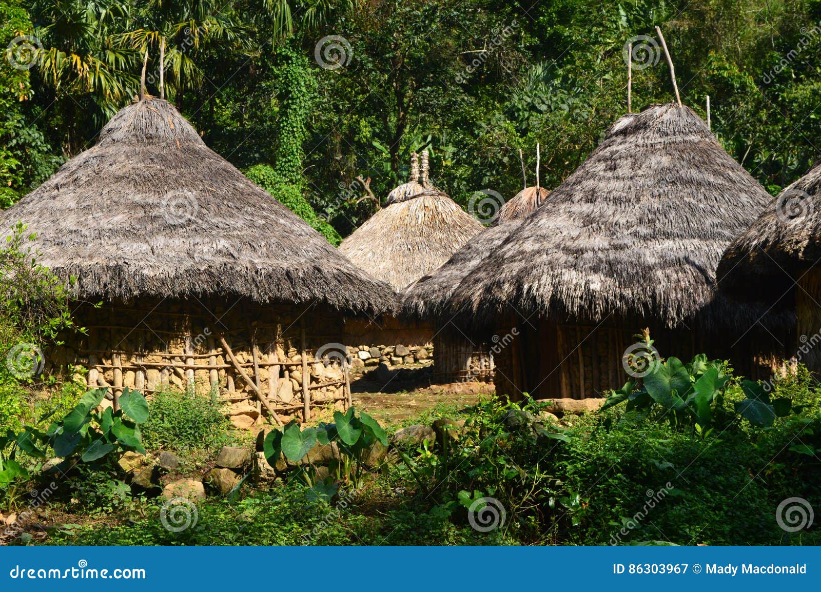 tairona huts on the trail to the lost city