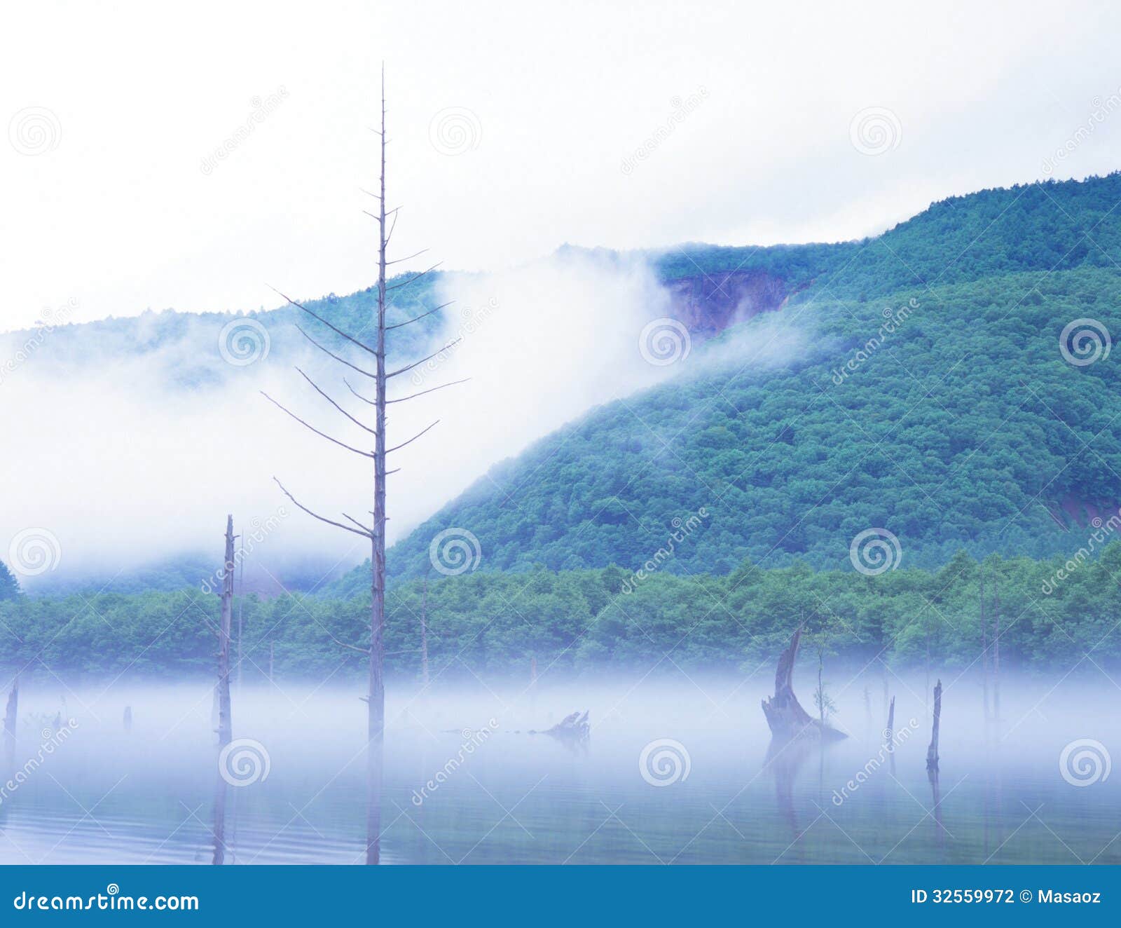Taisho Pond Stock Photo Image Of Morning Landscape