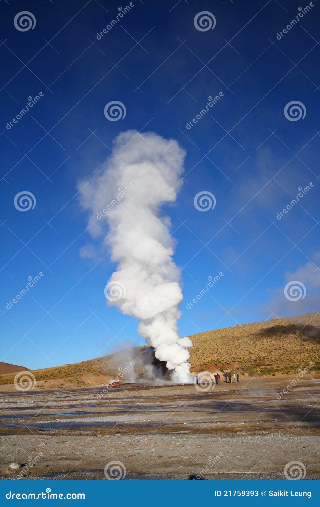 taito geysers