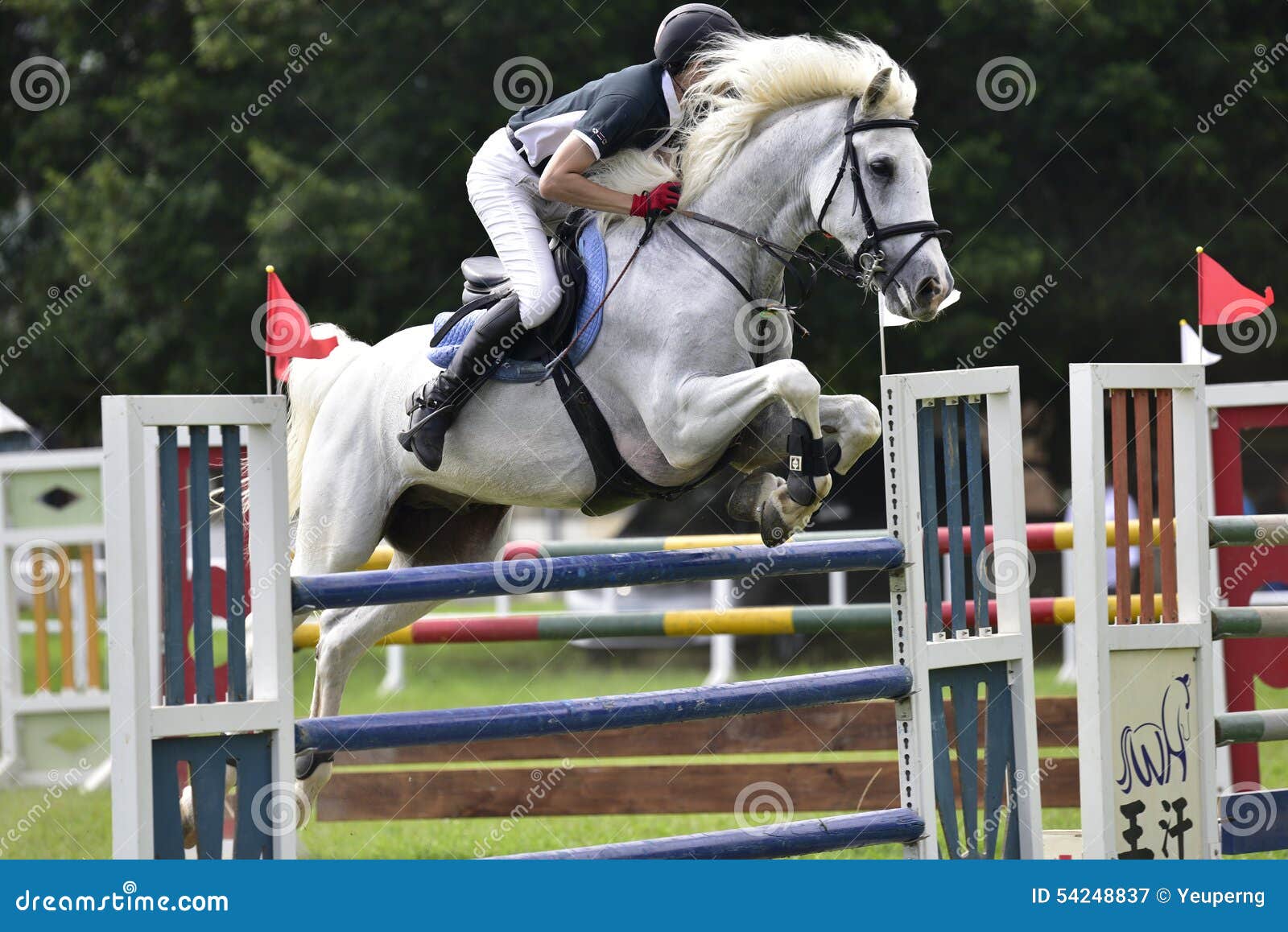 Taiwan Reiterspiele 15 Springen Redaktionelles Stockfotografie Bild Von Pferd Athletik