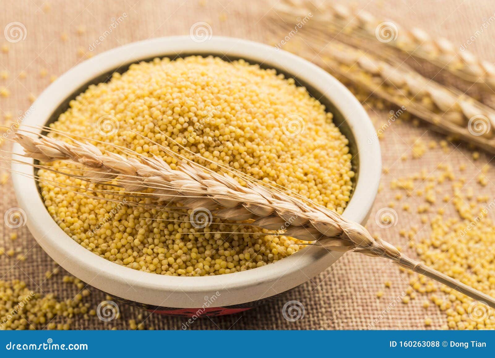 Nutritious millet stock photo. Image of calories, ingredient 160263088
