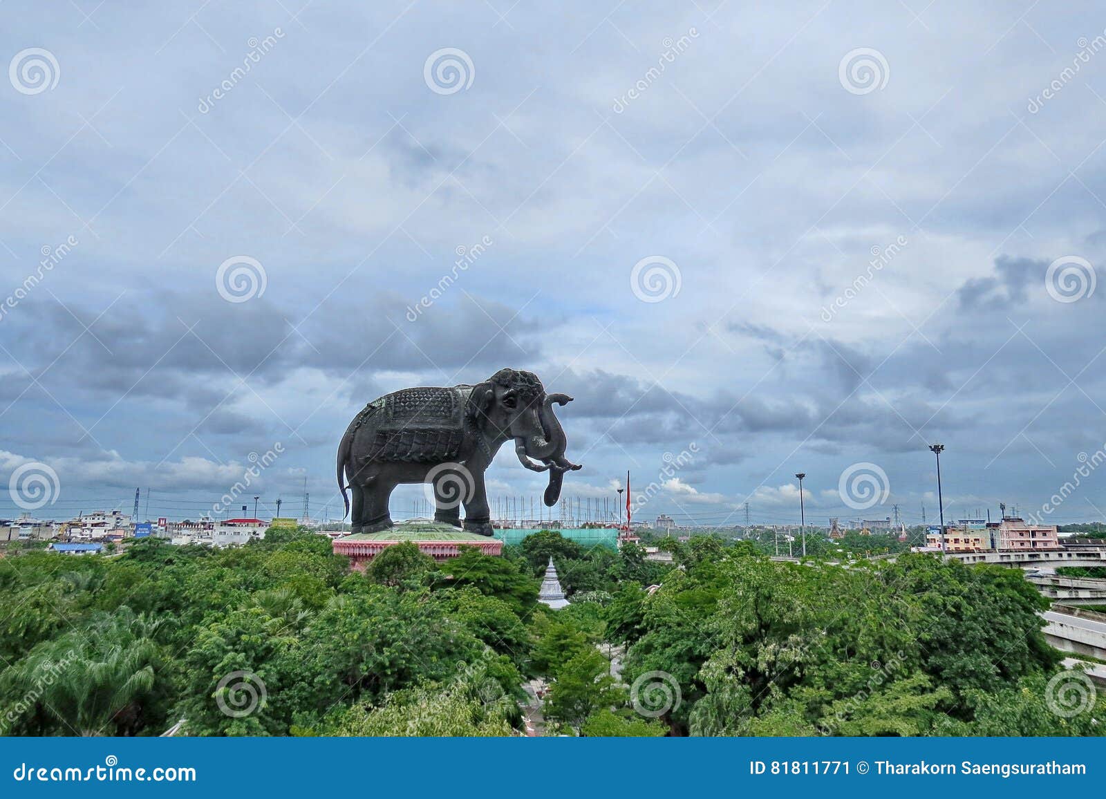 take photo sky, elephant on driving