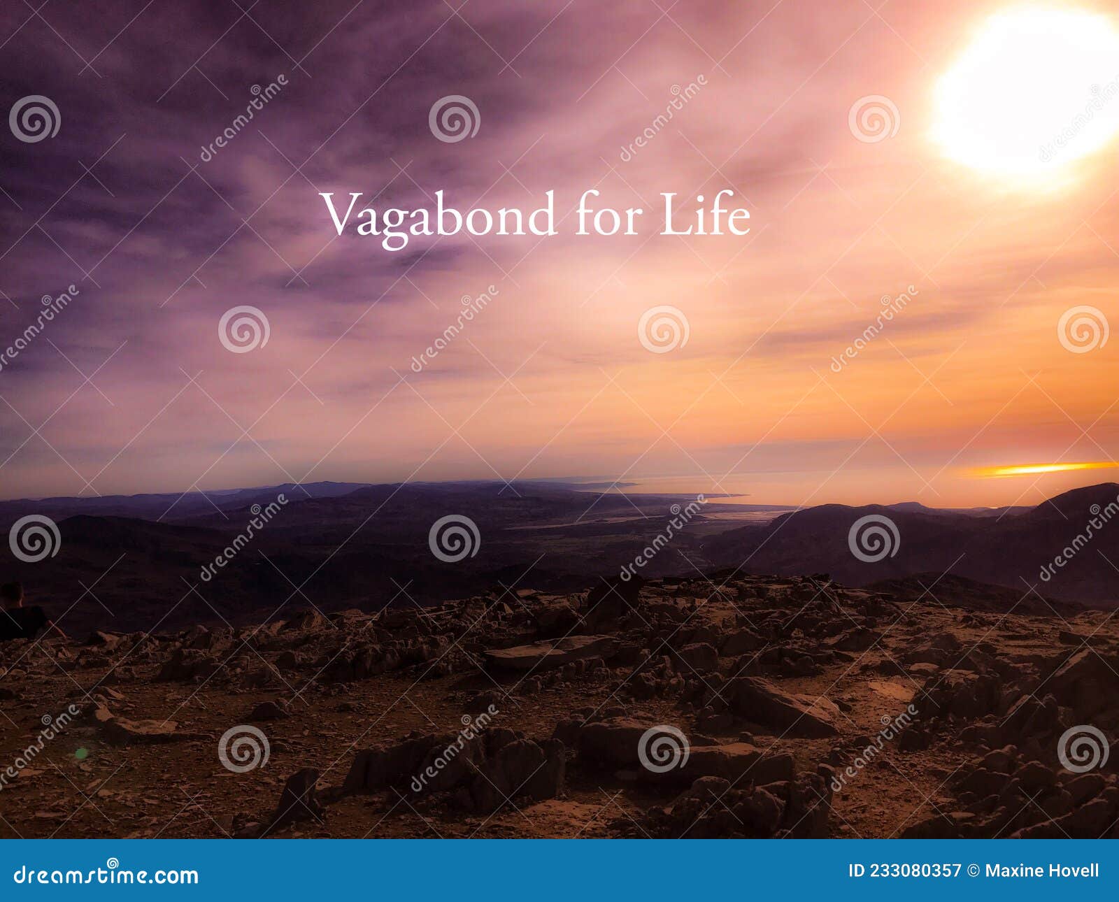 Inspirational Vagabond for Life Stock Image Image of nature, eyes:
