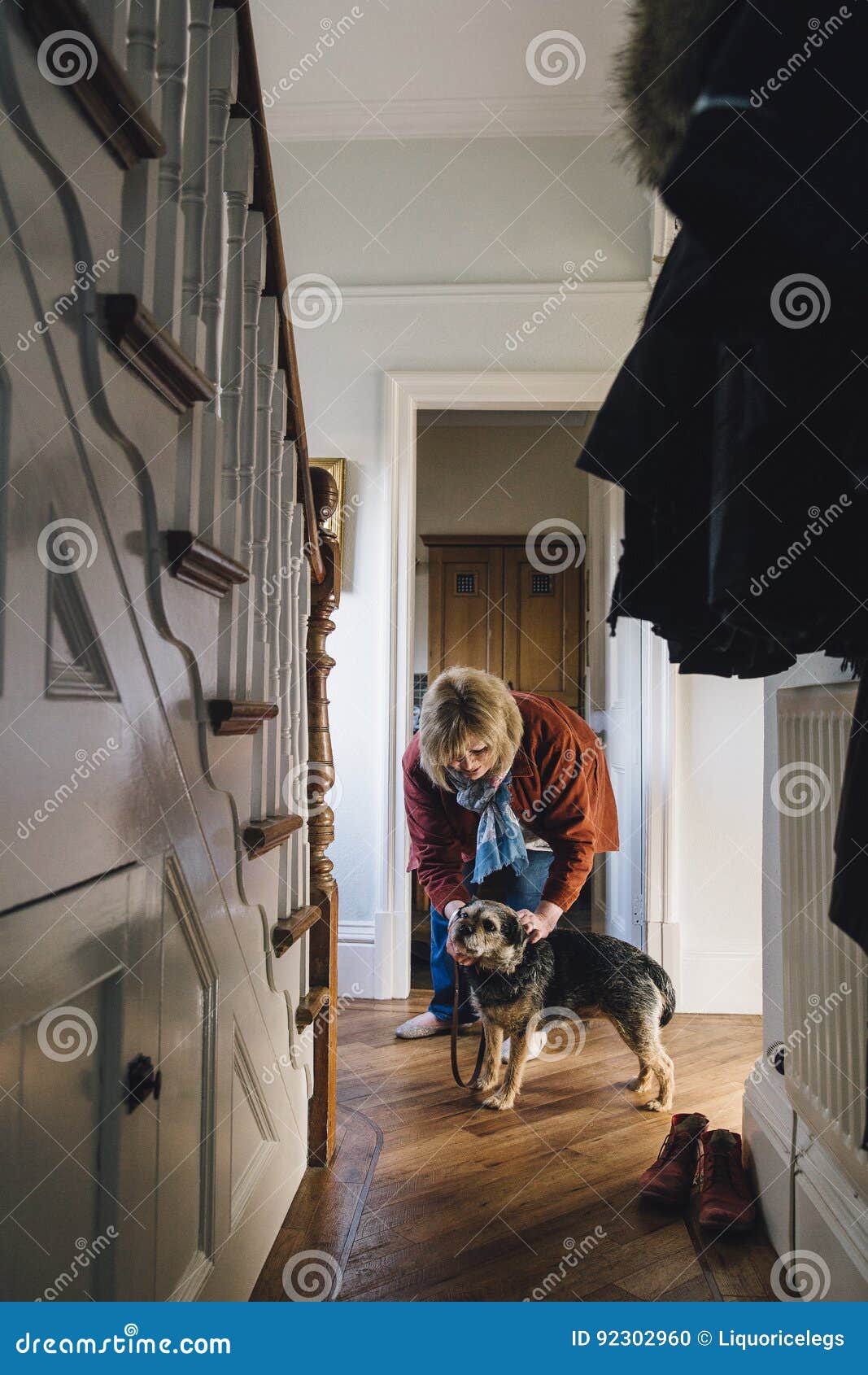 Taking the Dog for a Walk stock photo. Image of terrier - 92302960