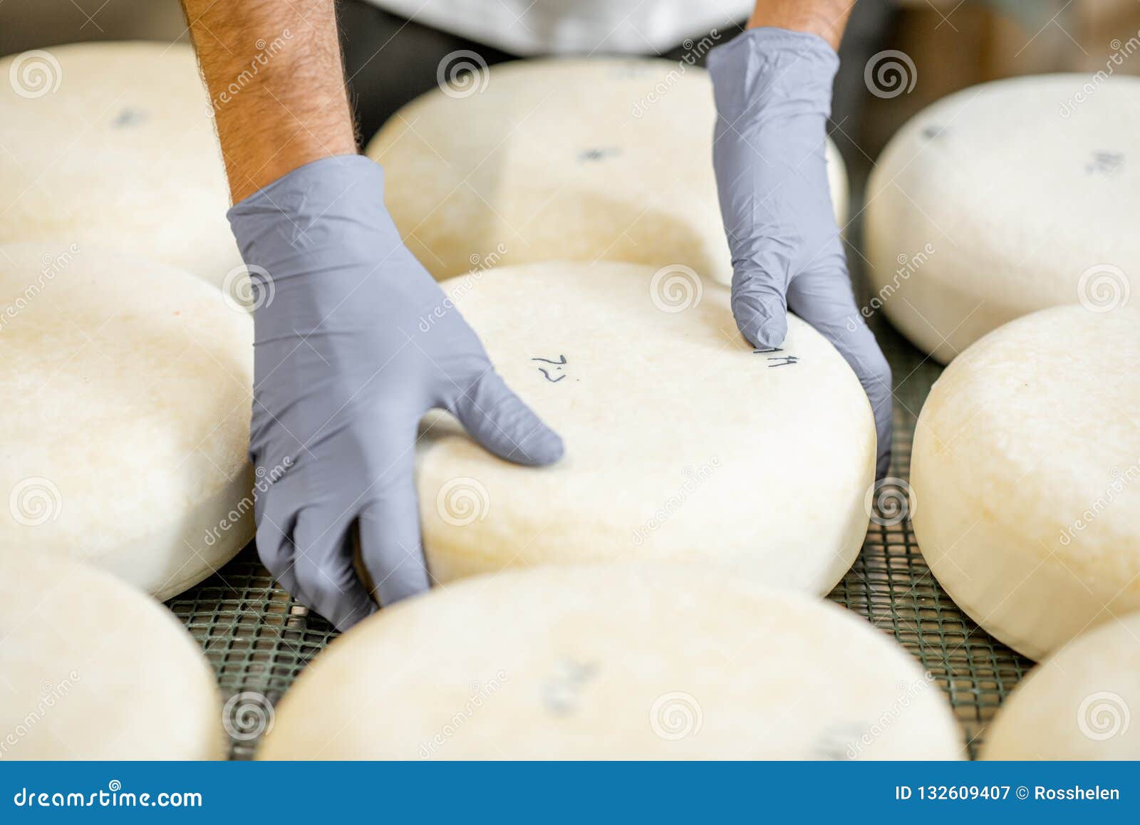 Taking fresh cheese wheel stock image. Image of food 132609407