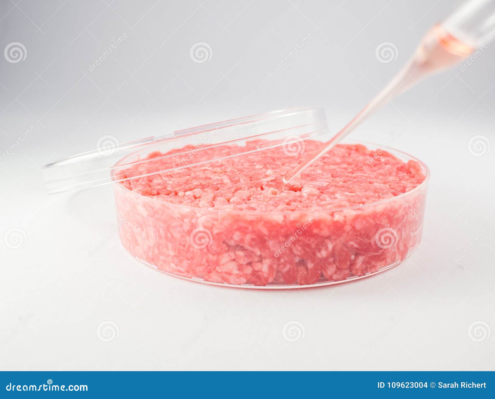 artificial meat research