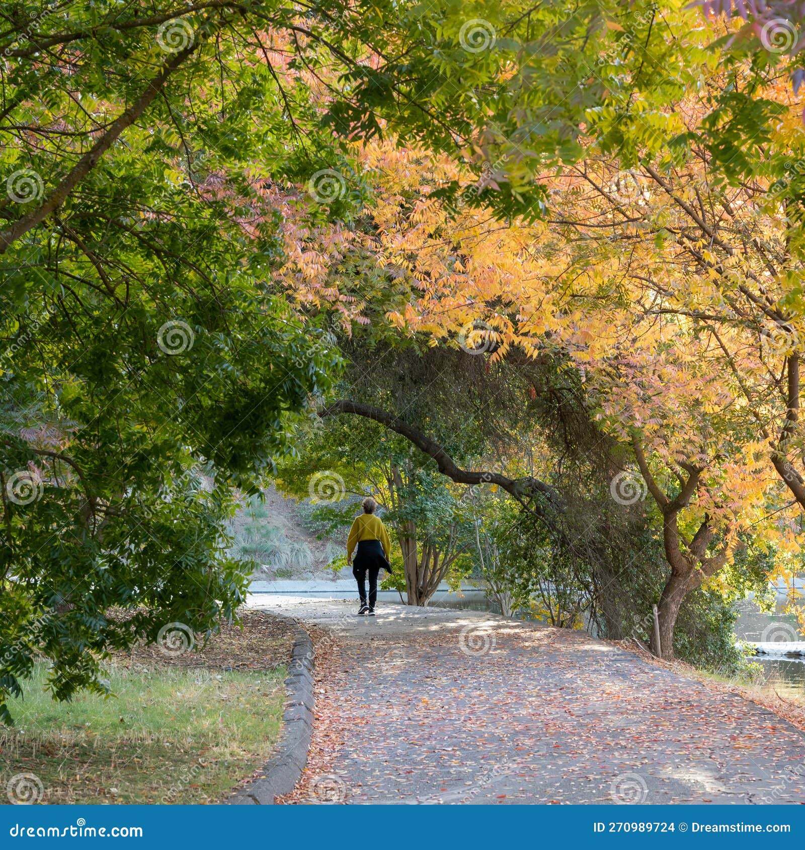 Uc Davis Ucpath