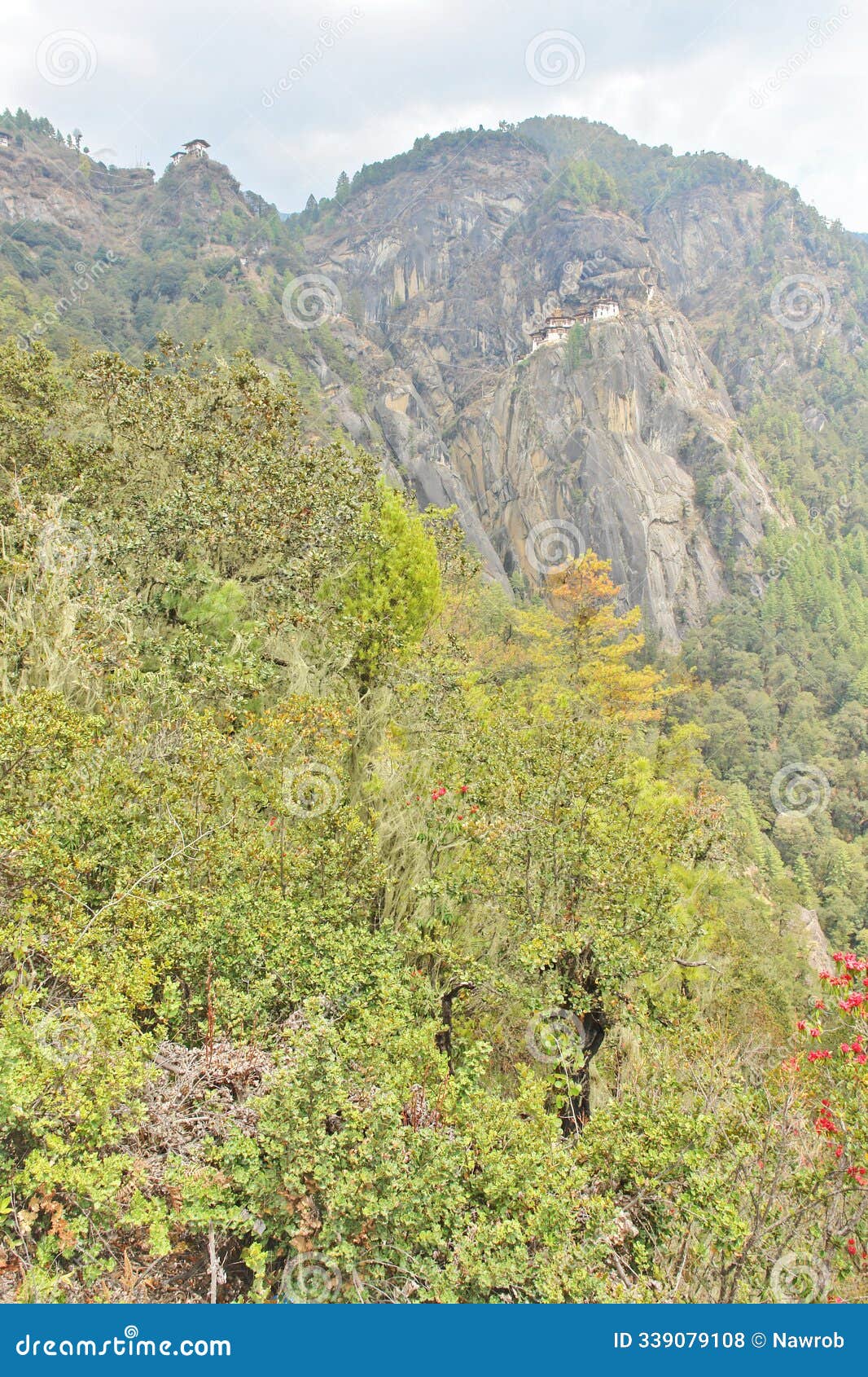 taktshang monasteryon a rock cliff in bhutan