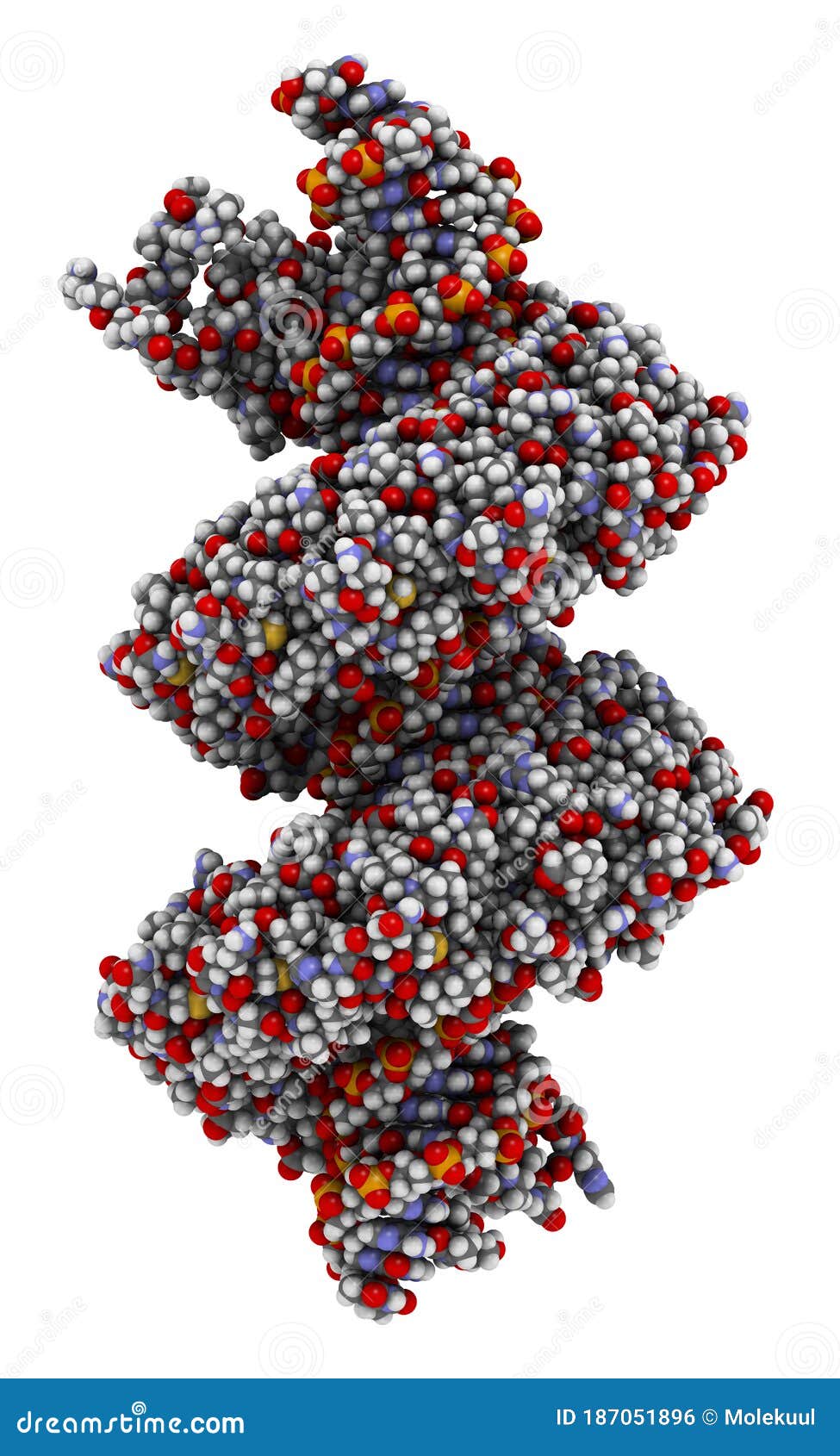 tal transcription activator like effector protein or tale. dna binding protein. in talen technology, these are combined with.