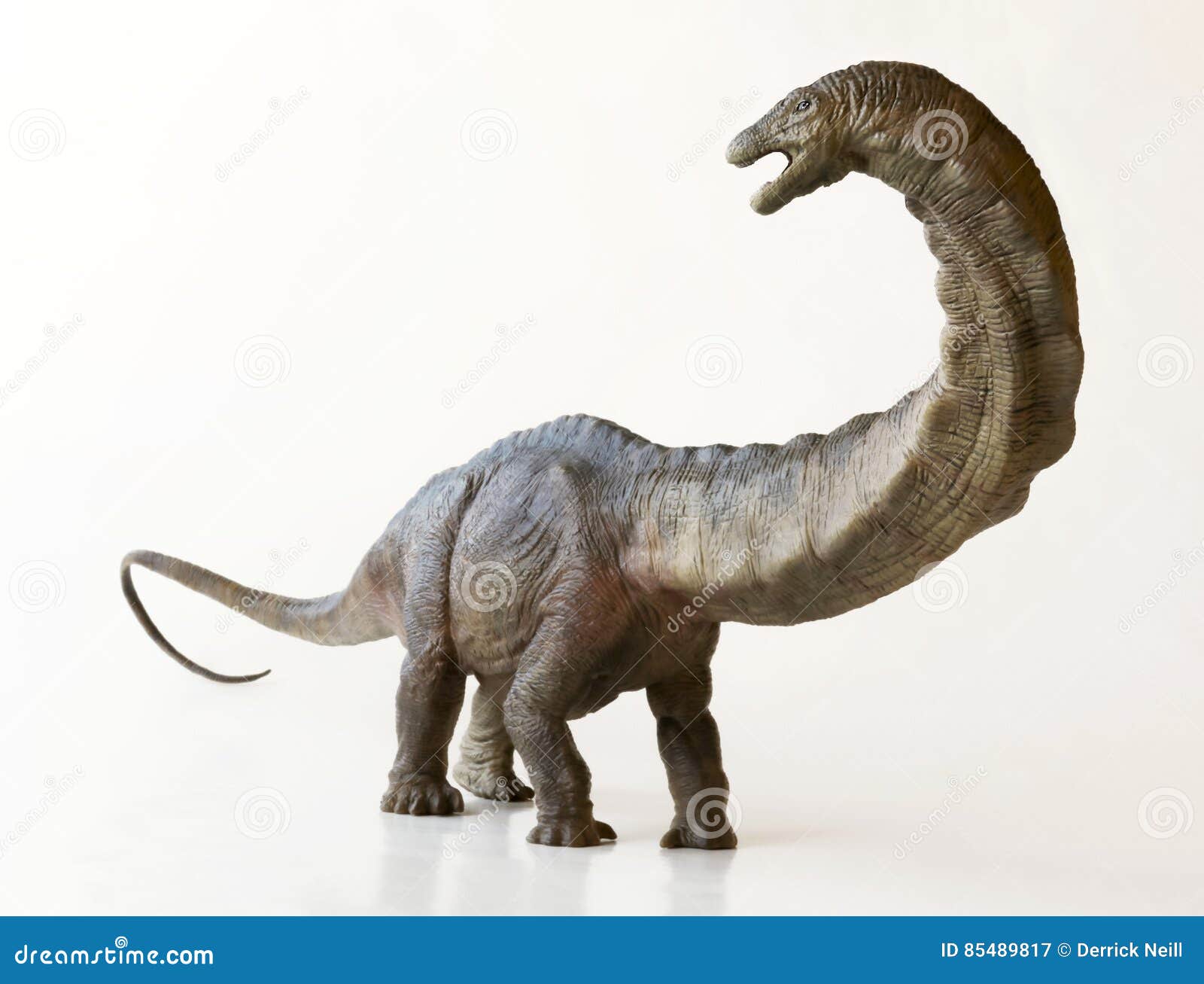 a tall apatosaurus dinosaur, or deceptive lizard