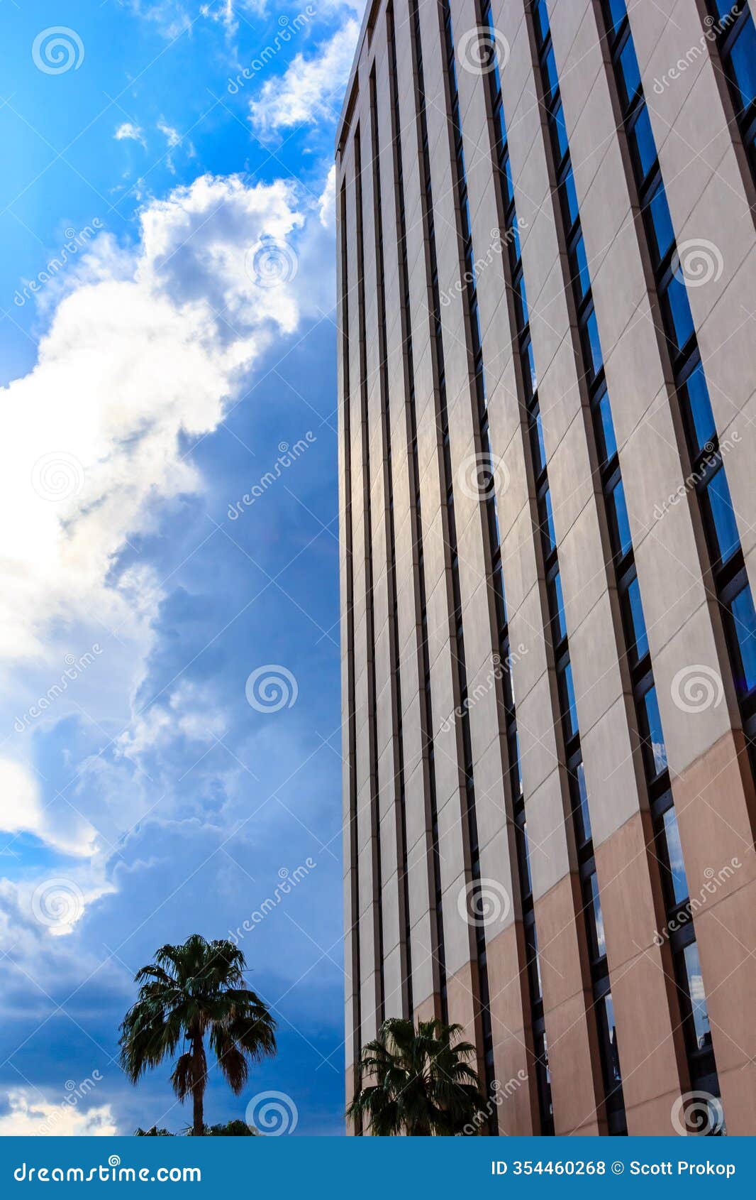 a tall building with a palm tree in front of it