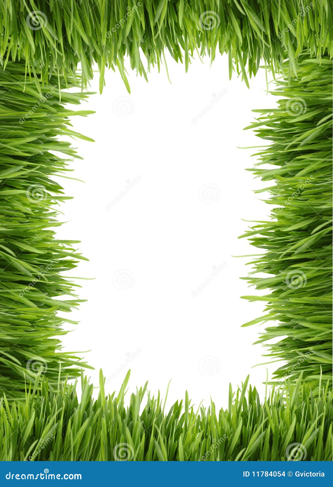 Tall grass border or frame stock photo. Image of frames - 11784054