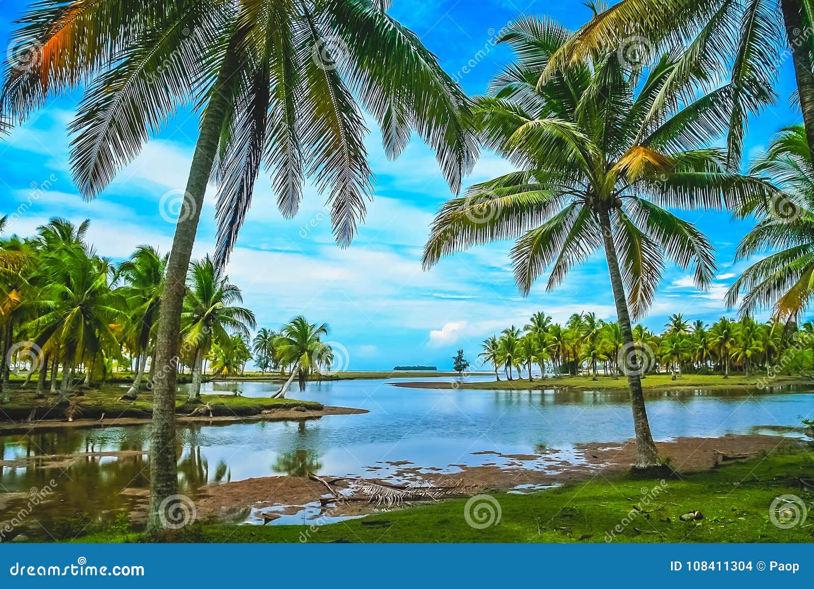 palmtrees on the coast of sumatra