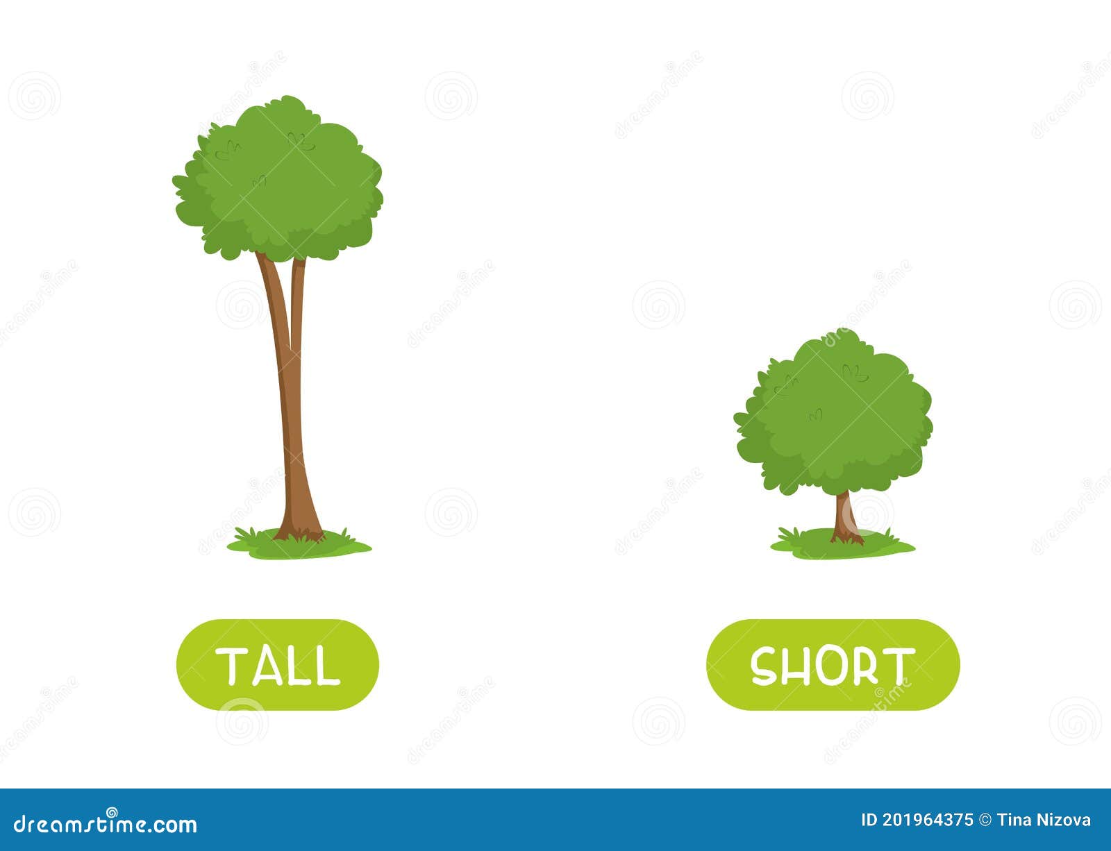 tall and short antonyms word card  template. flashcard for