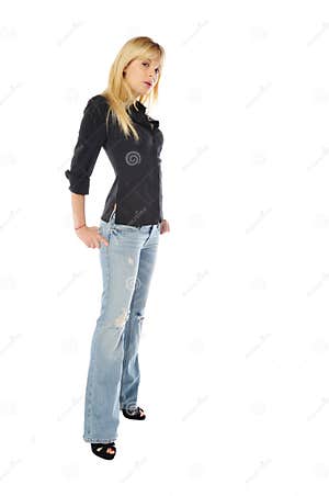 Tall Skinny Trees Forest Background Royalty Free Stock Photography 