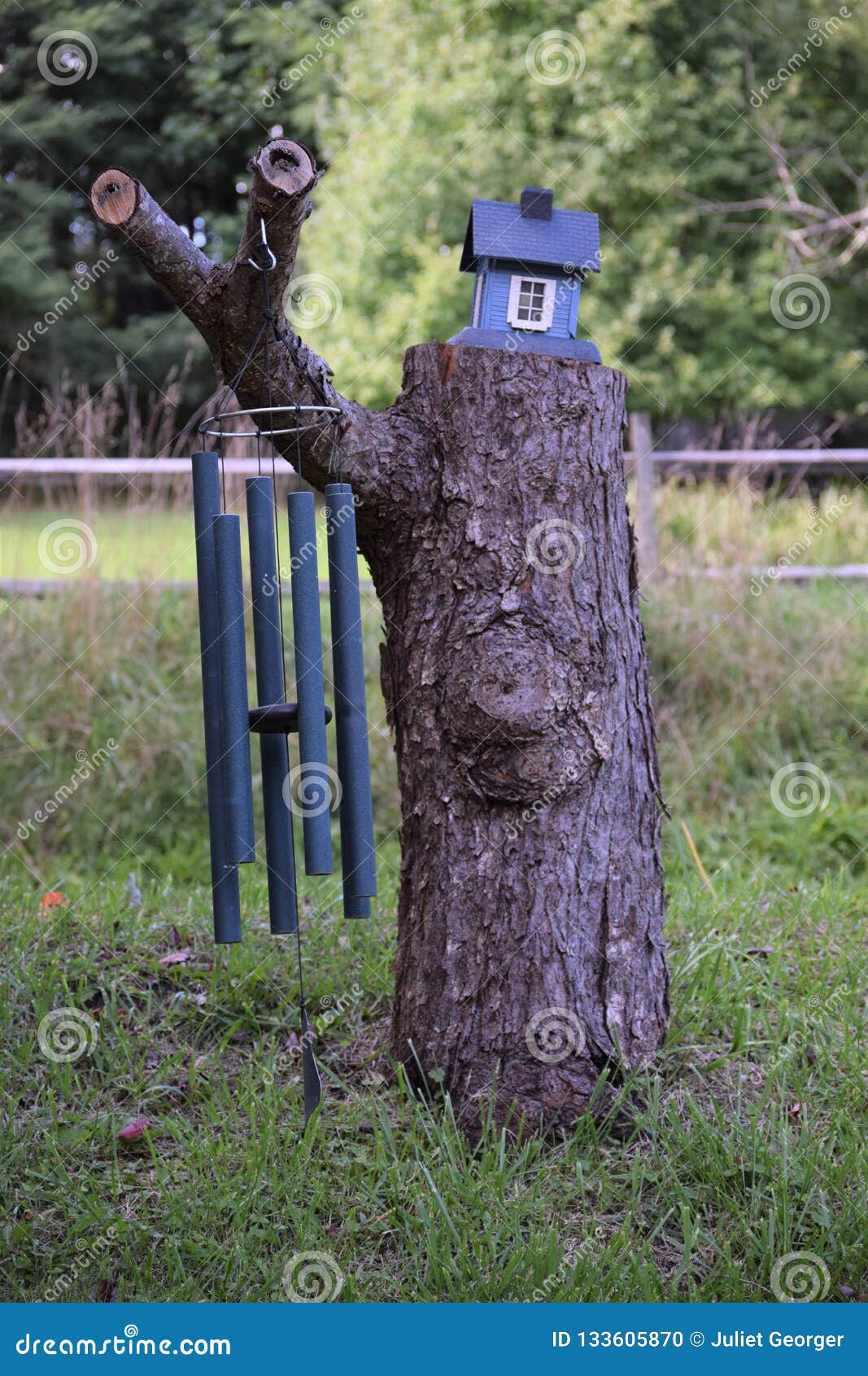 Tall Tree Stump with a Birdhouse and Wind Chimes Editorial Image