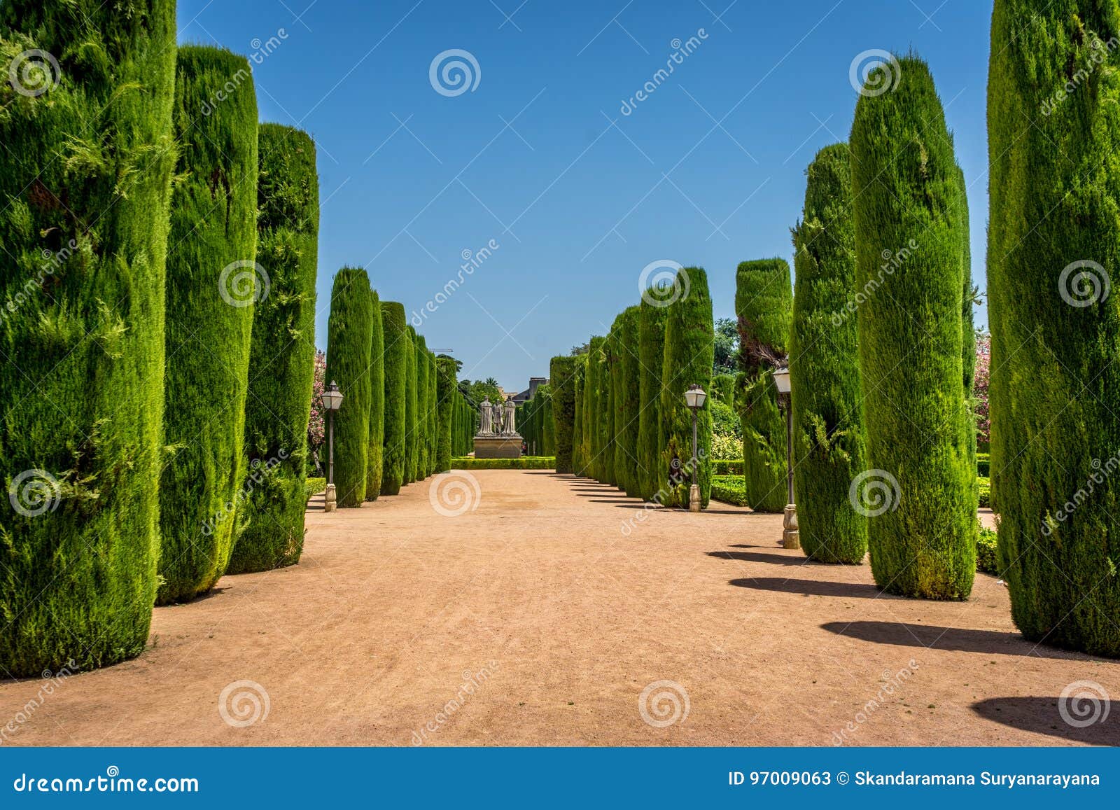tall trees in the jardines, royal garden of the alcazar de los r