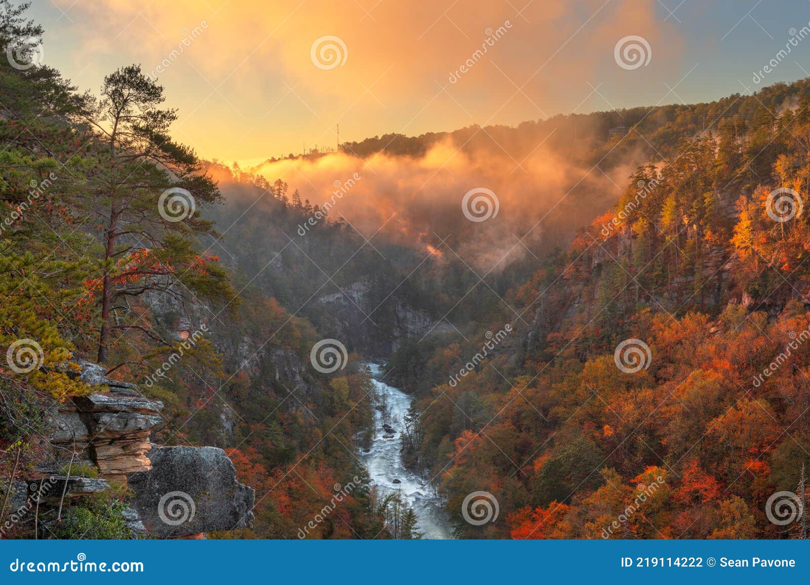 Tallulah Falls, Georgia, USA Overlooking Tallulah Gorge Stock Photo ...