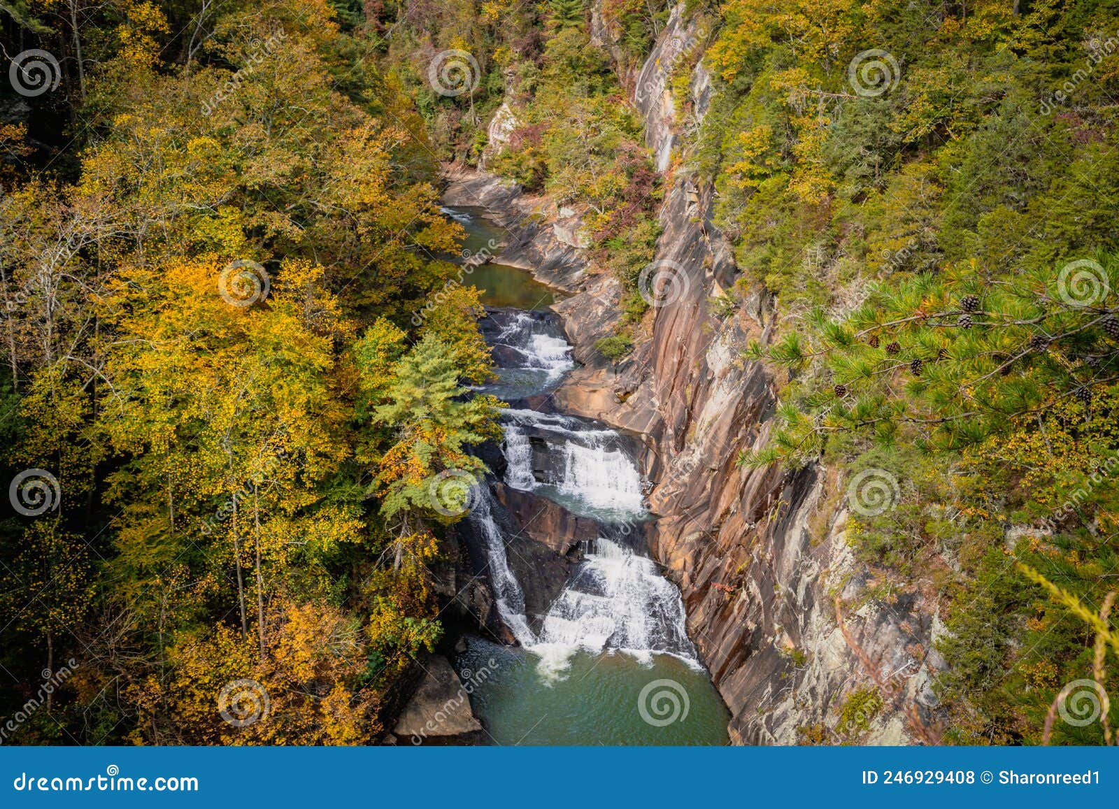 Tallulah Falls Waterfall in a Canyon during Fall in Stock Photo