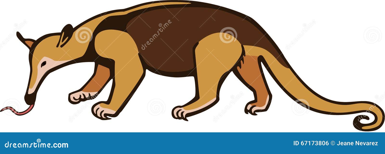 Southern tamandua transparent background PNG cliparts free