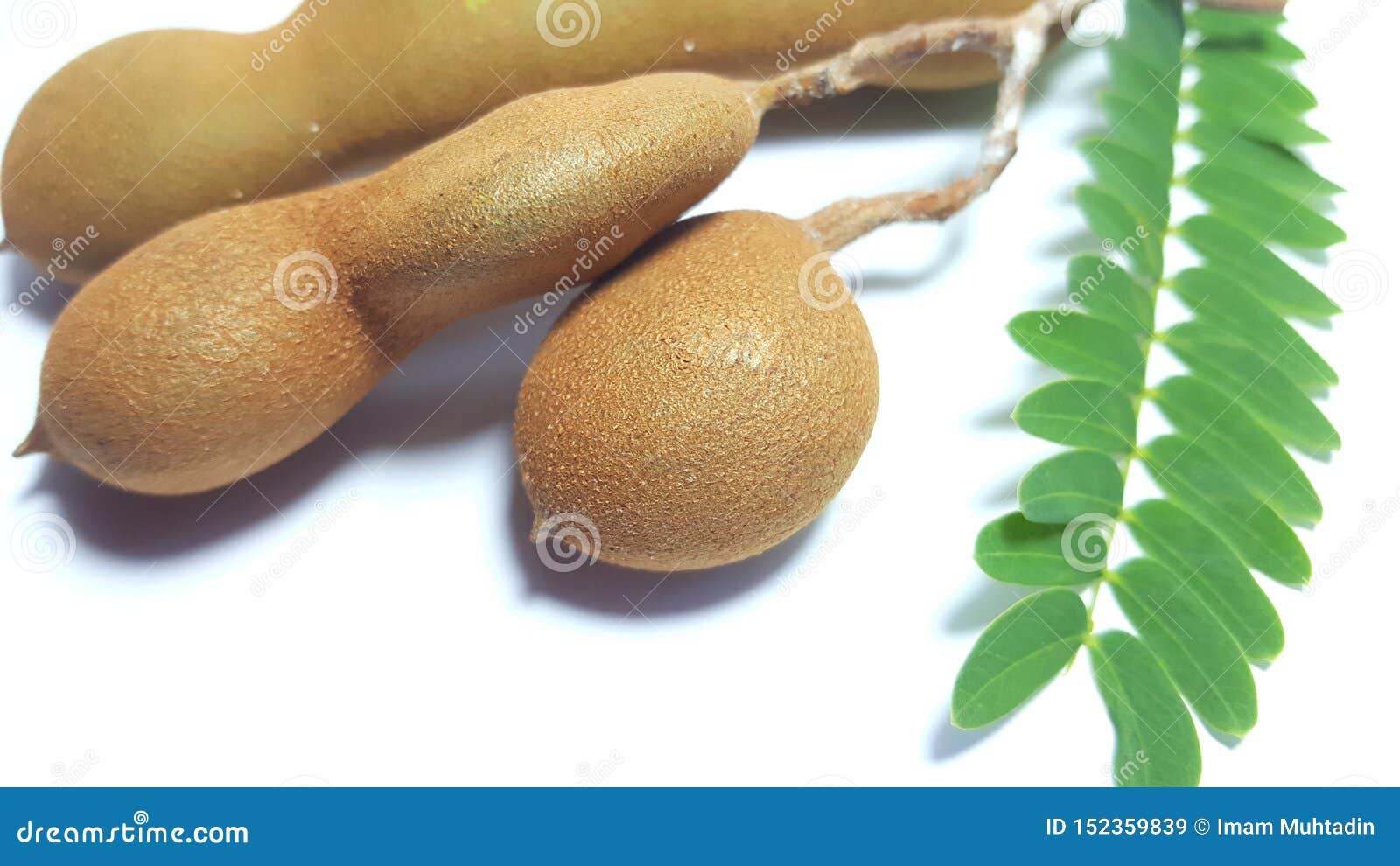 Tamarind Fruit, One of the Fruit with Sour Taste Stock Image - Image of  legume, brown: 152359839