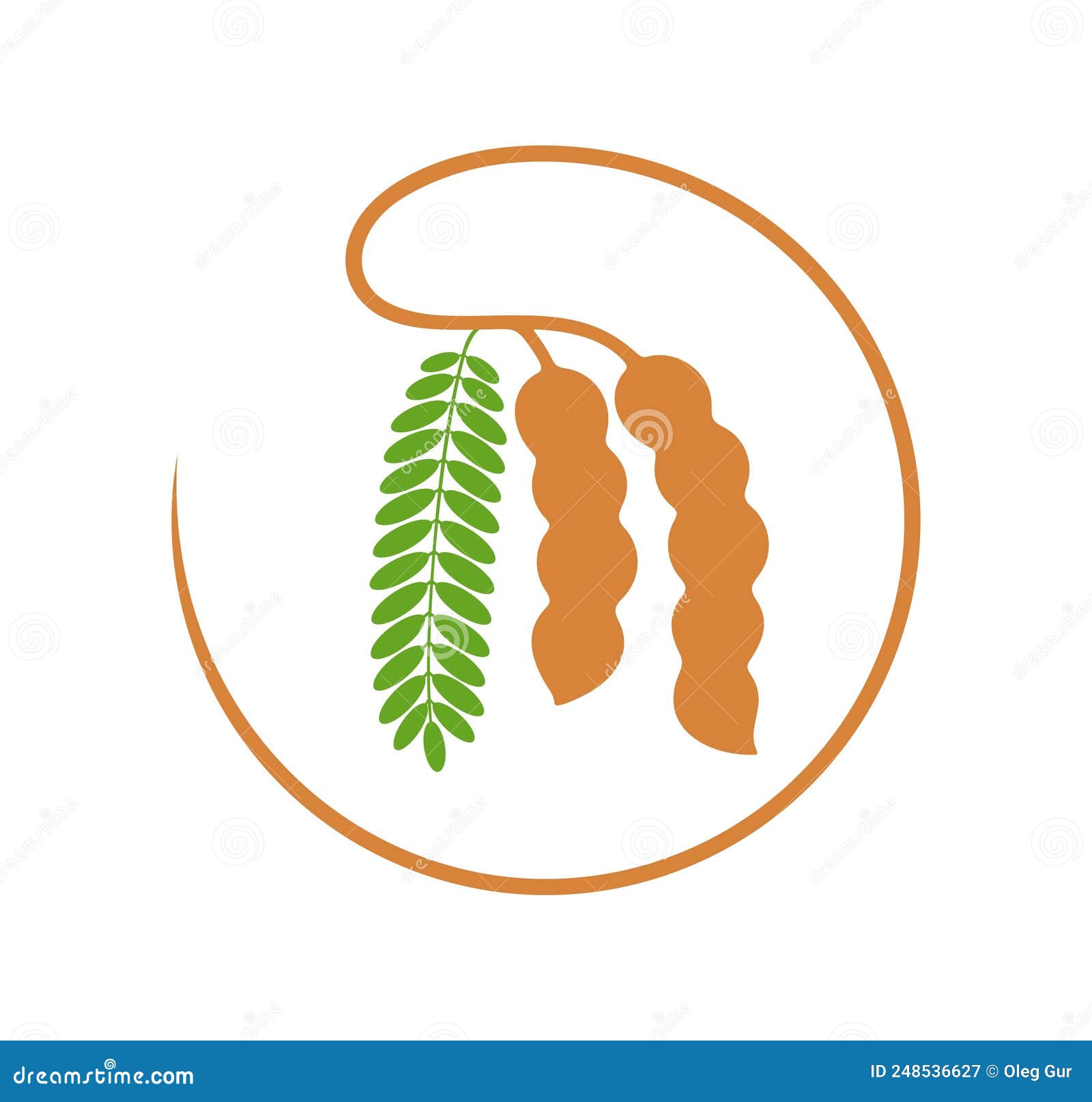 Tamarind Logo. Isolated Tamarind on White Background Stock Vector