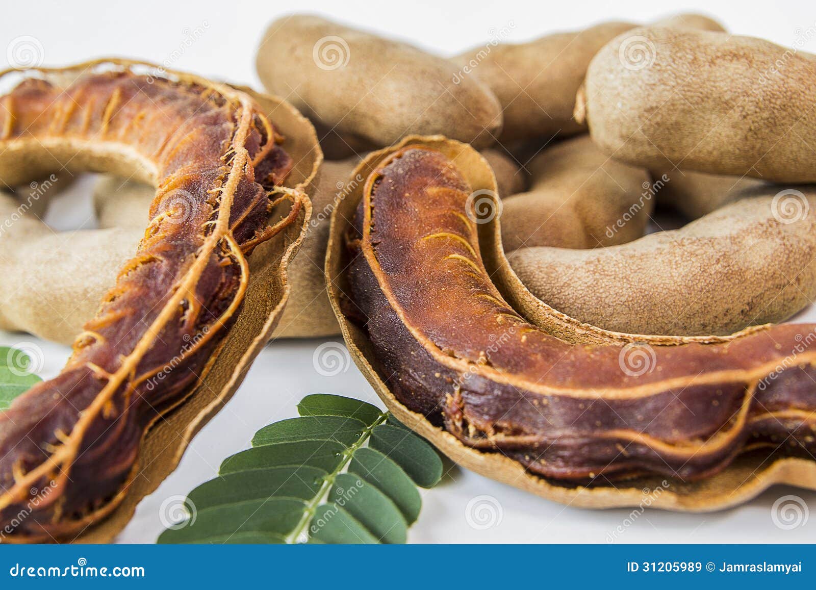 Tamarind Sweet stock image. Image of tamarind, seed, crop 31205989