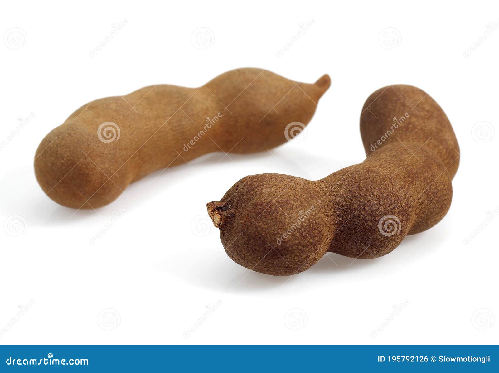 Tamarind Tamarindus Indica Fruit Against White Background Stock Photo Image Of Indoors White