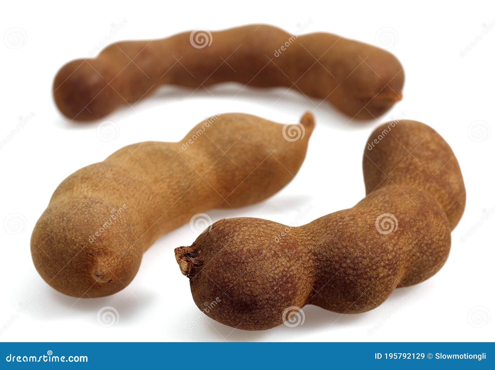 Tamarind Tamarindus Indica Fruit Against White Background Stock Image Image Of White Indoor