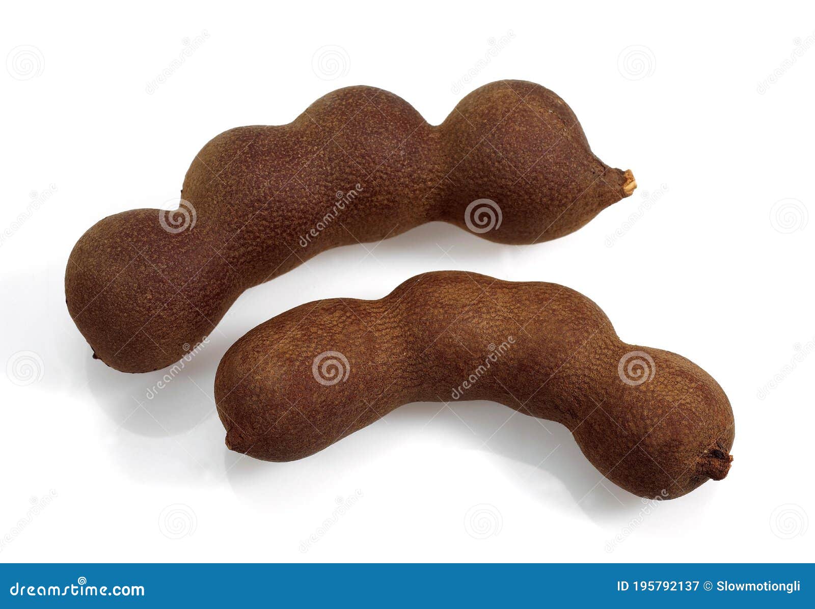 Tamarind Tamarindus Indica Fruit Against White Background Stock Image Image Of Indica Exotic