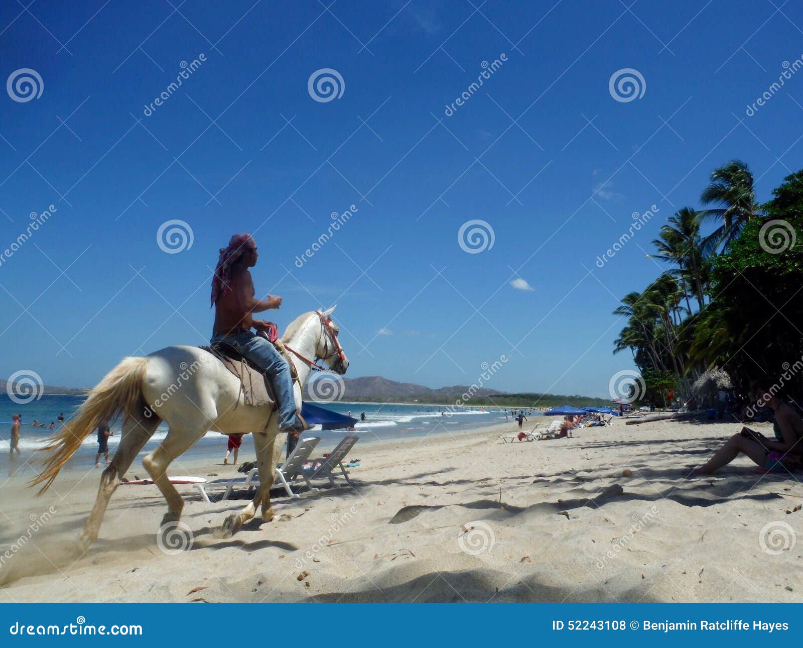 Tamarindo Beach Costa Rica Editorial Stock Photo Image Of Gallops
