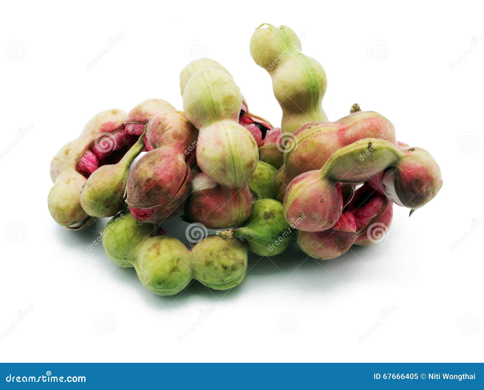 Tamarindo De Manila Verde Imagem De Stock Imagem De Tamarind Tamarindo De Manila Verde Imagem De Stock Imagem De Tamarind