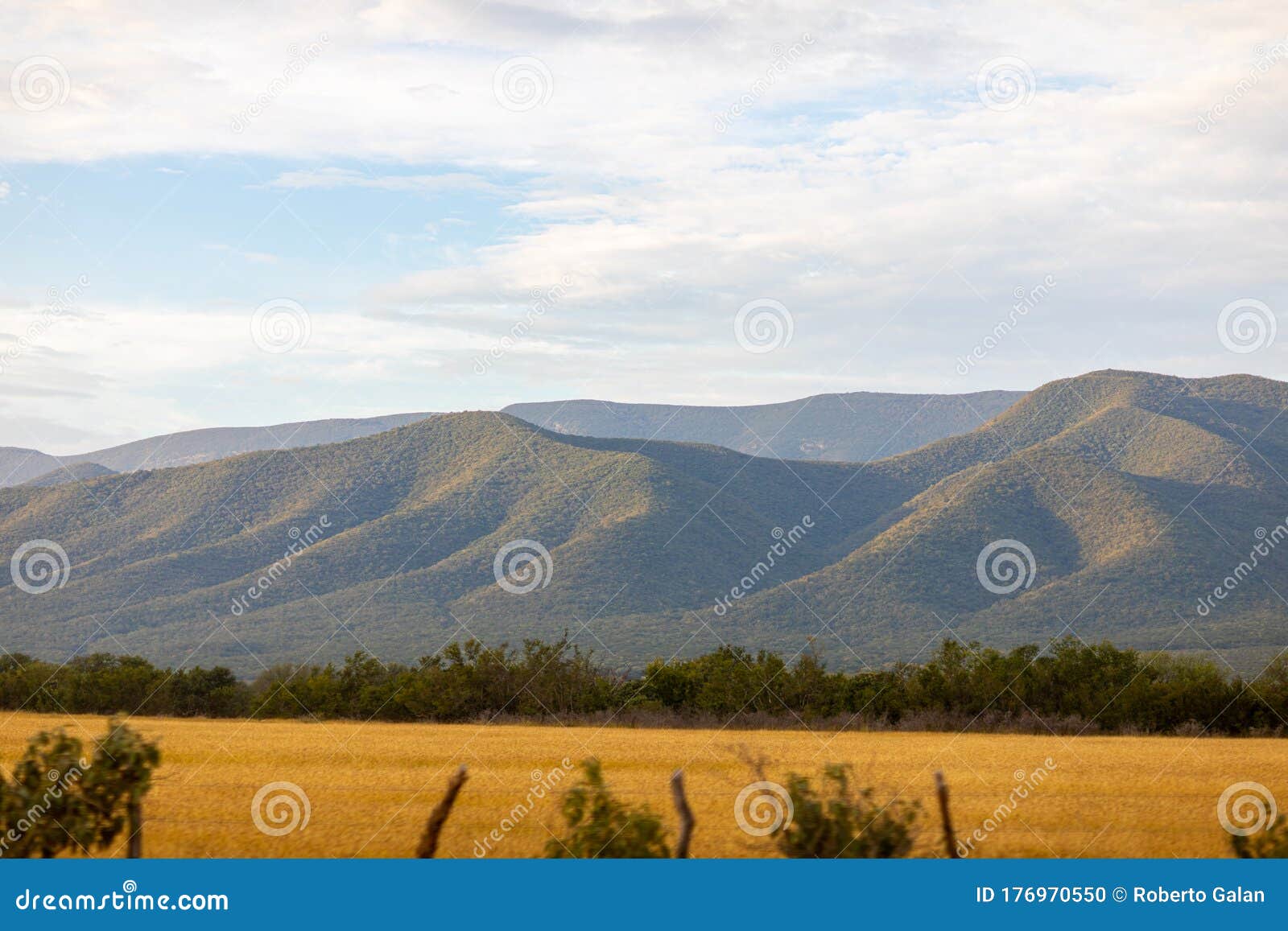 tamaulipas landscapes