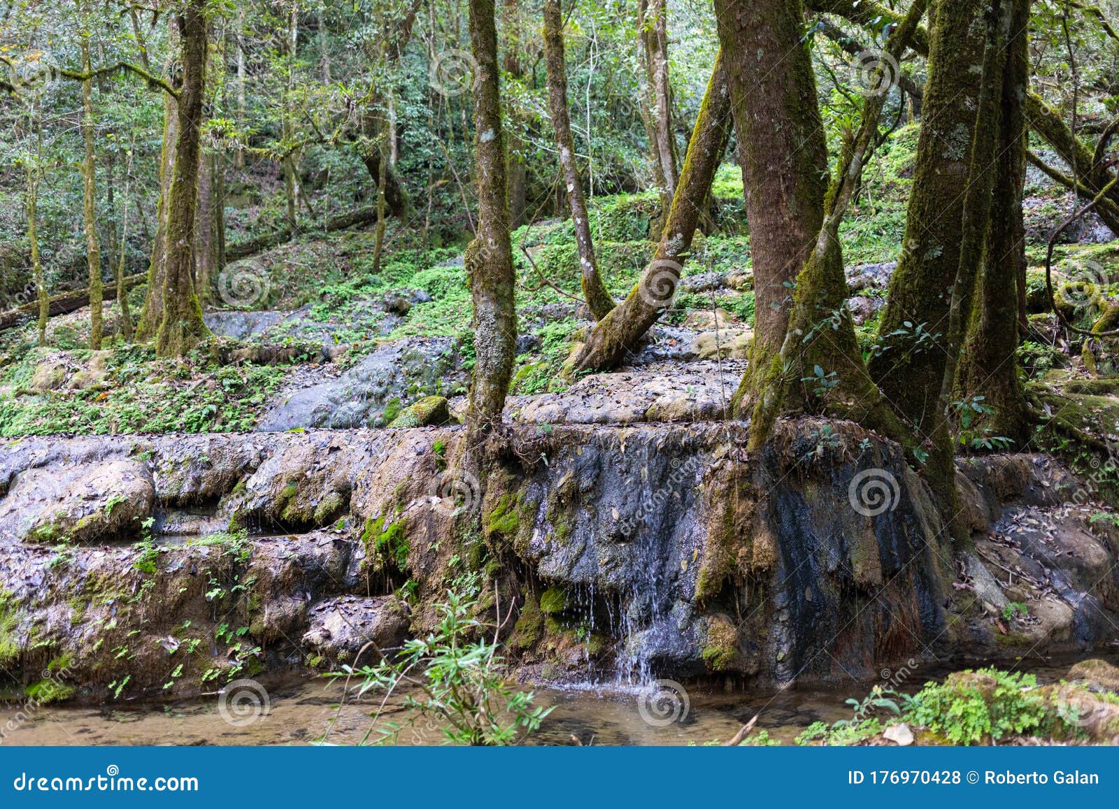 tamaulipas landscapes