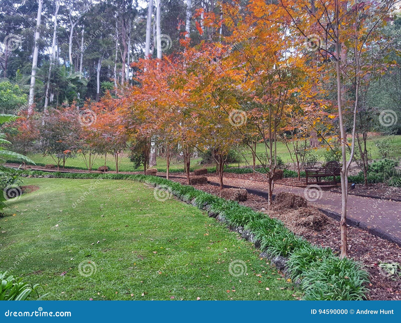 Tamborine Mountain Botanic Gardens Stock Photo Image of visit, place