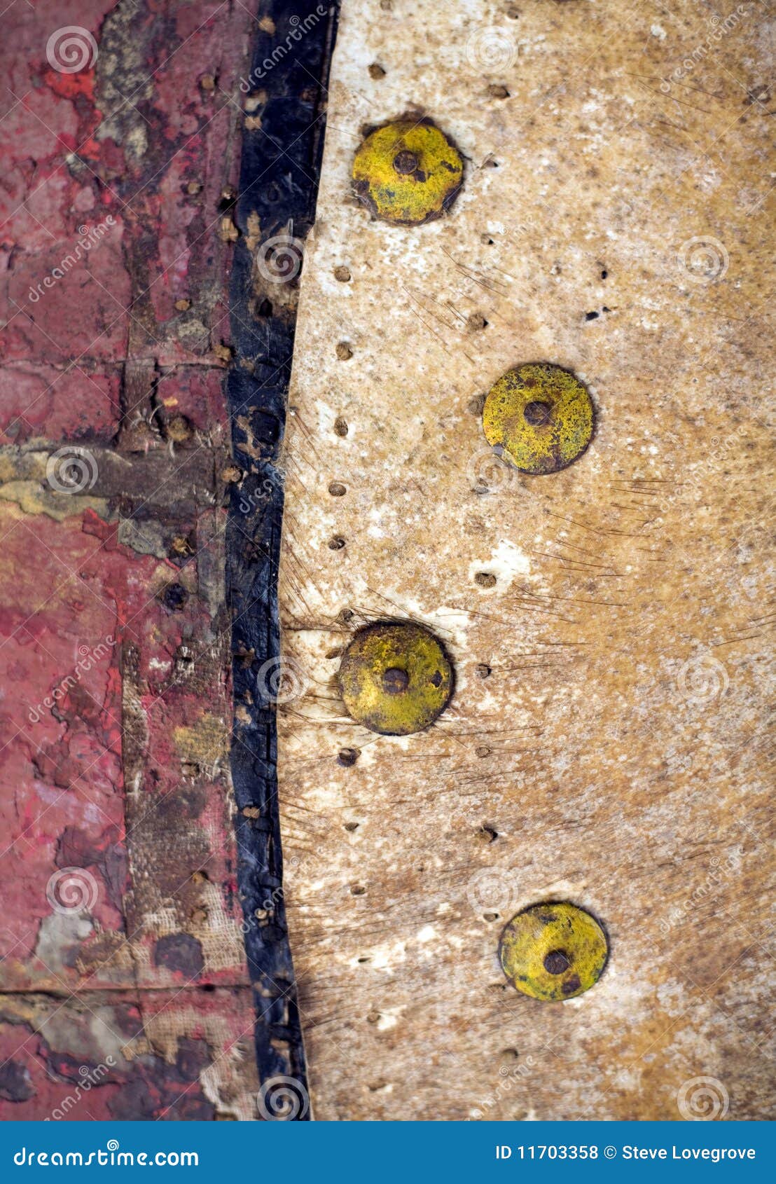 Tamburo Della Pelle Dell'elefante Fotografia Stock Immagine di