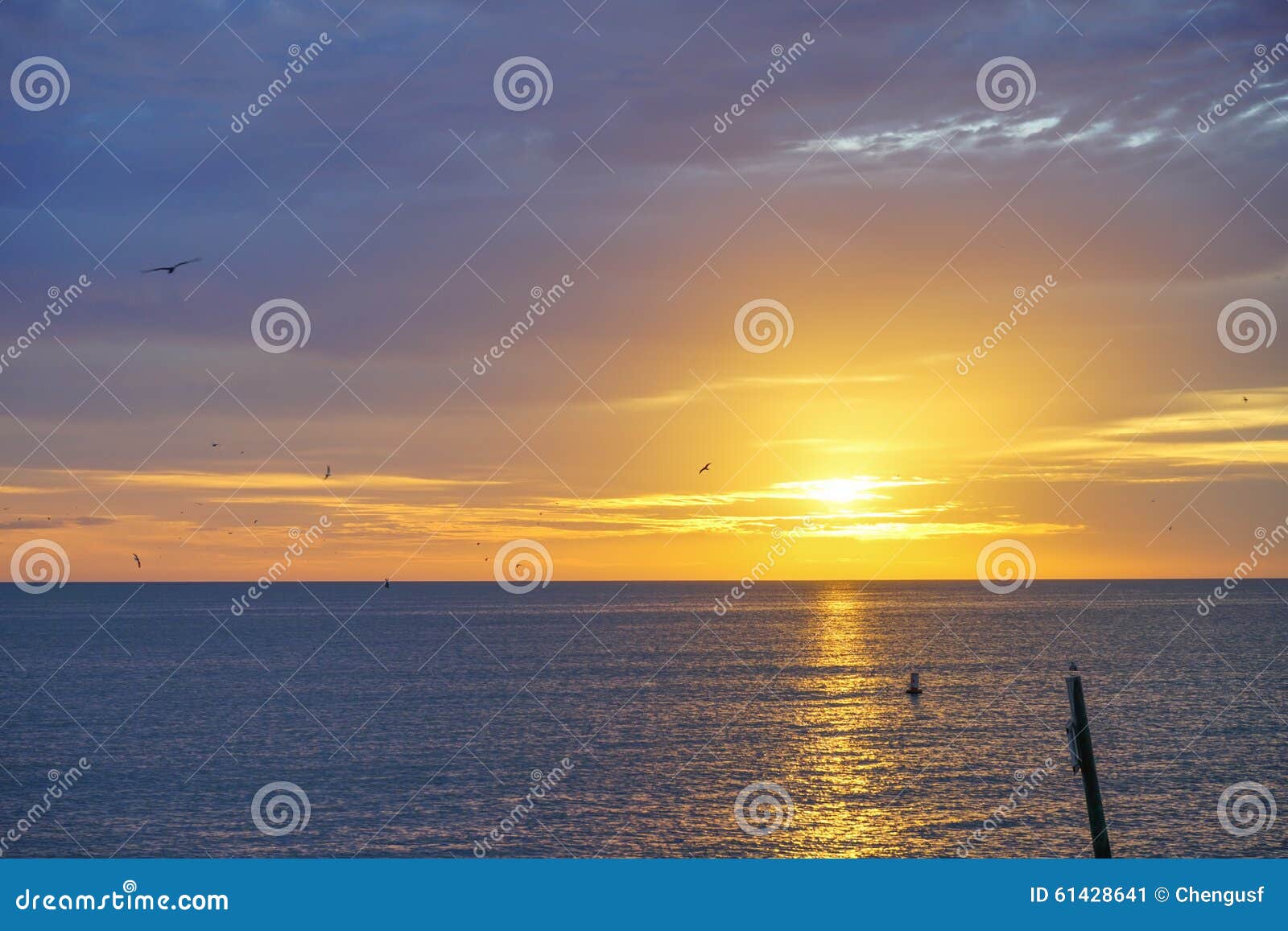Tampa bay beach sun set stock image. Image of natural 61428641