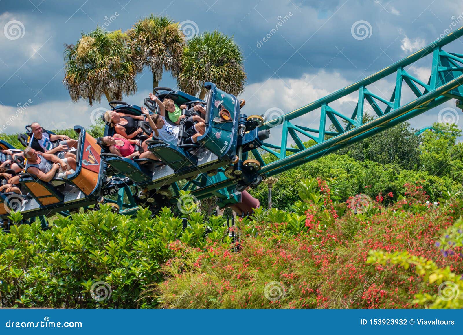 People Having Fun Terrific Cobras Curse At Busch Gardens 5