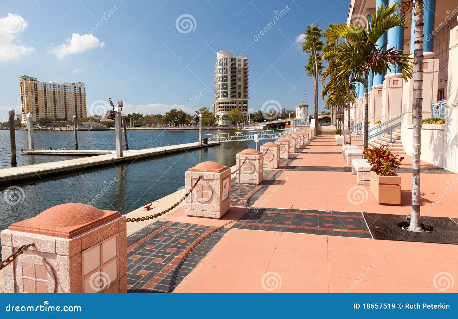 Tampa, Florida imagem de stock. Imagem de centro, turismo - 18657519 Tampa, Florida imagem de stock. Imagem de centro, turismo - 18657519