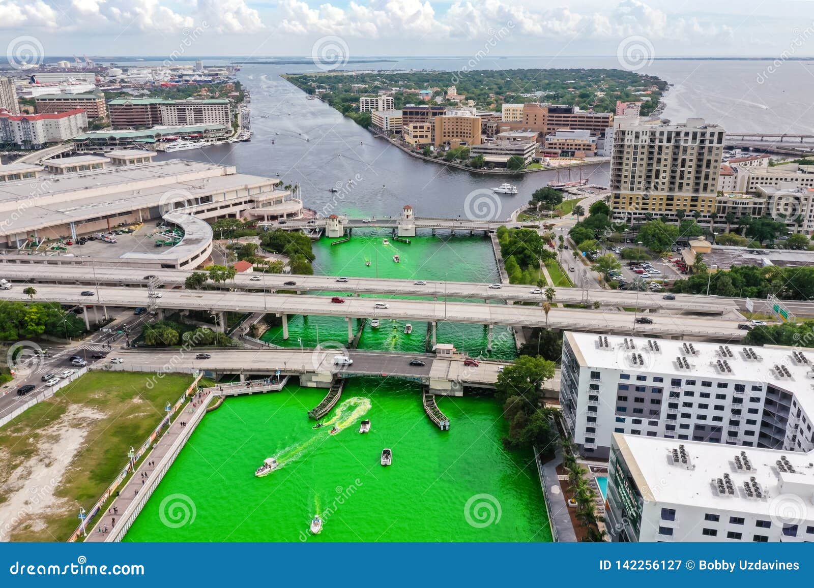 Tampa, Florida Green River on St. Patrick`s Day Editorial Photography
