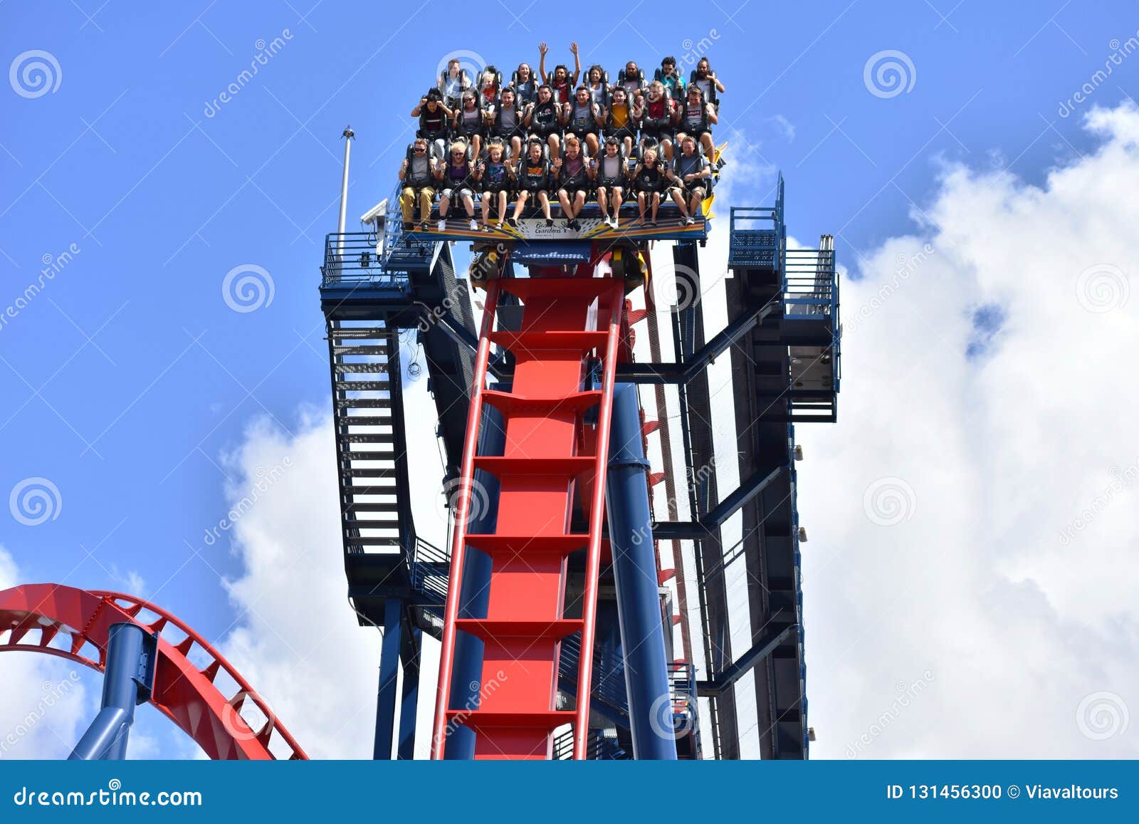 Incredible Sheikra Rollercoaster At Bush Gardens Theme Park