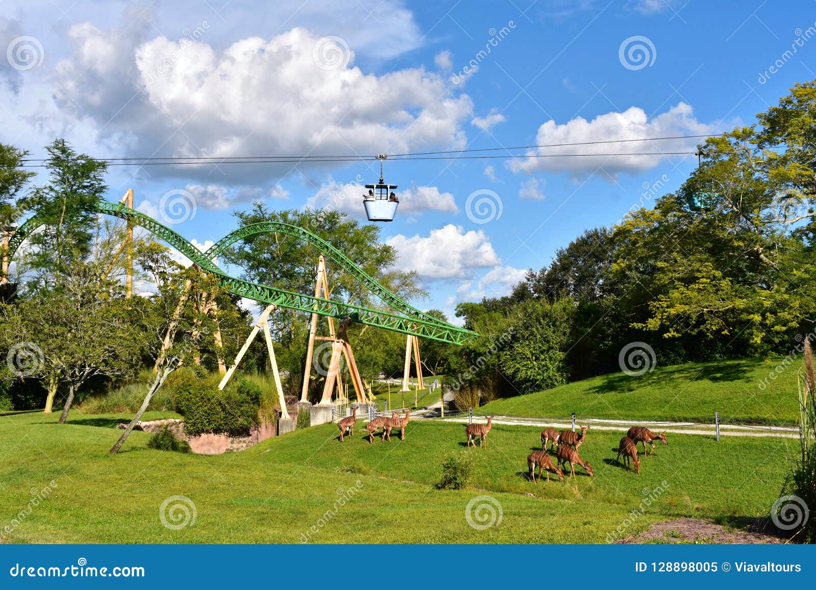 Skyride Transportation Attraction And Panoramic View Of Nyalas And