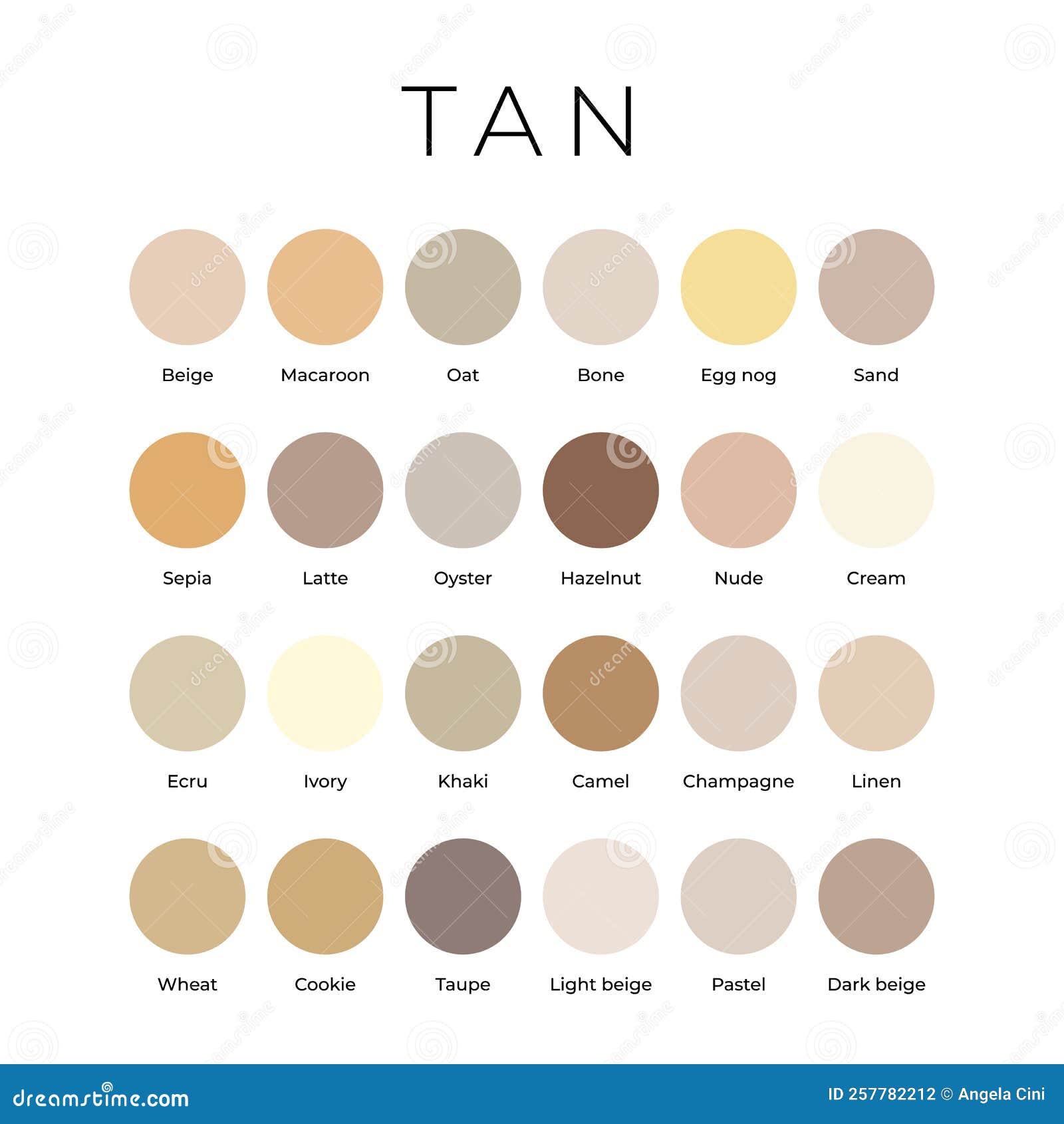 Tan Beige Color Shades Swatches Palette with Names Stock Vector