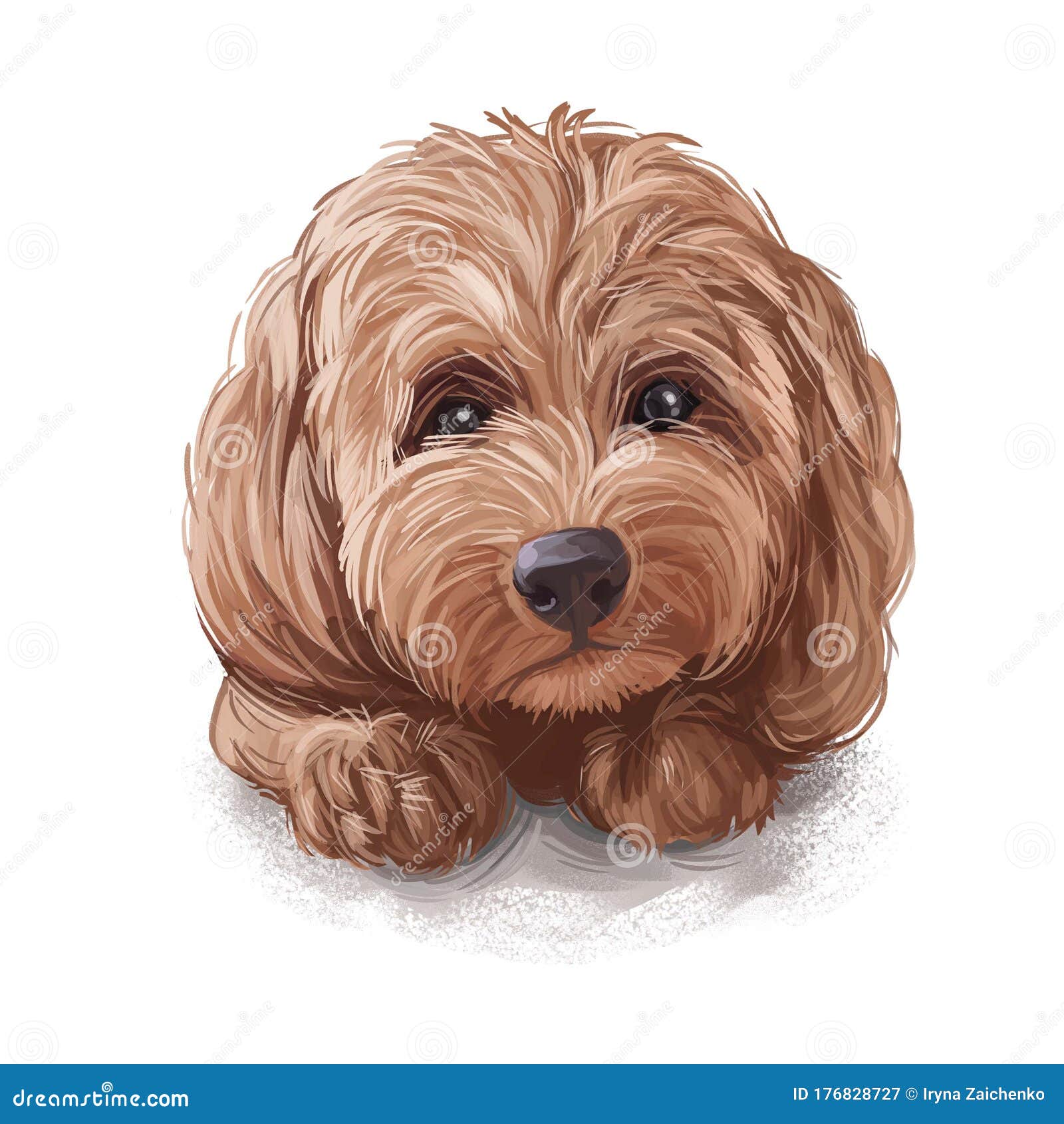 Tan Cocapoo狗数字艺术对可爱犬类动物的阐释美国公鸡与英国公鸡的杂交狗库存例证 插画包括有长期 蓬松