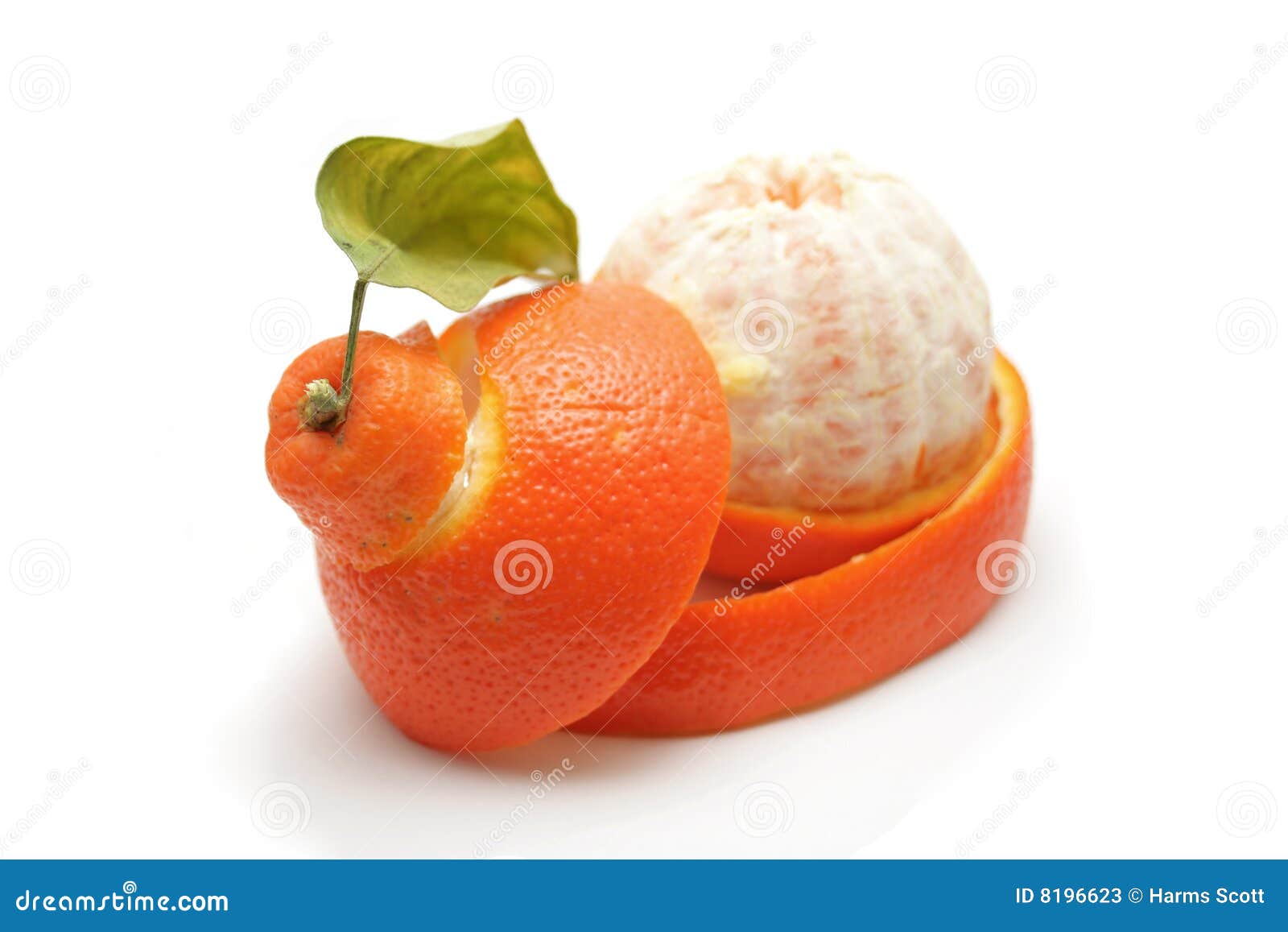 Tangelo stock image. Image of sweet, acidic, organic, peel 8196623