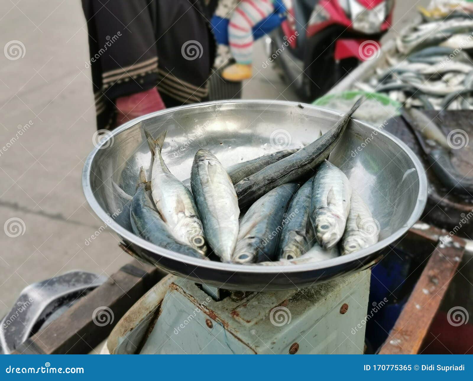 Fish Weighed Stock Photos - Free & Royalty-Free Stock Photos from Dreamstime